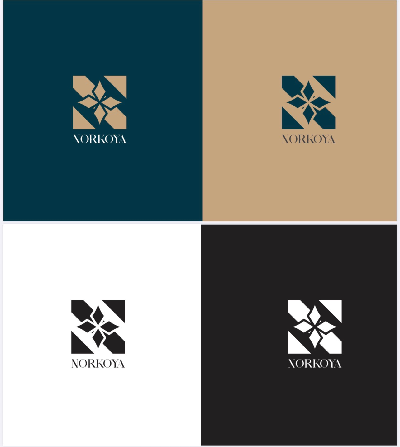 Brand Identity - Norkoya analytics app design brand identity branding dashboard graphic design logo logo design ui ux visual design web design