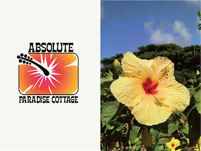 Hibiscus Logo badge design brand identity branding color design custom lettering emblem design graphic design hospitality branding illustration logo design logo mark retro design travel branding tropical design typography vacation rental branding vintage style visual identity