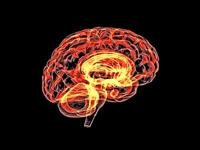 brain design graphic design illustration ui