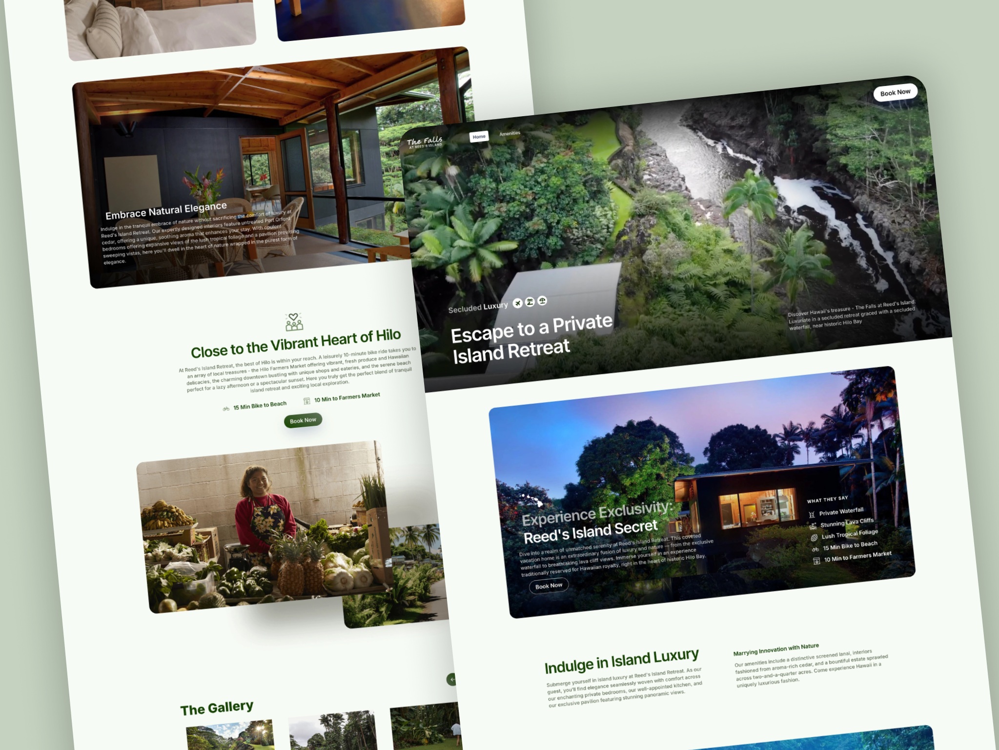 Reed's Island - Web Design graphic design landing page ui web design