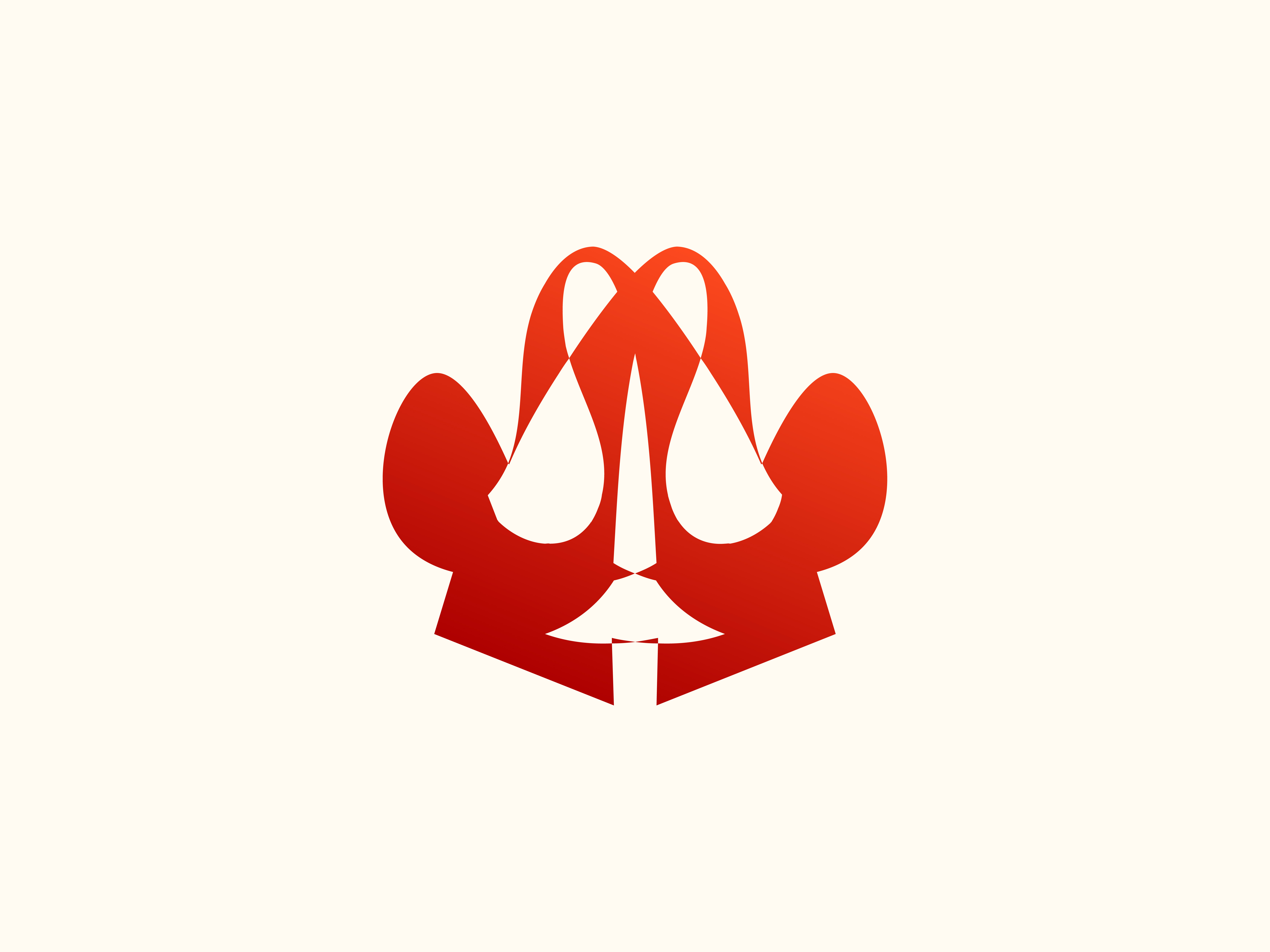 Example of Professional Cartoon Mascot Logo Design