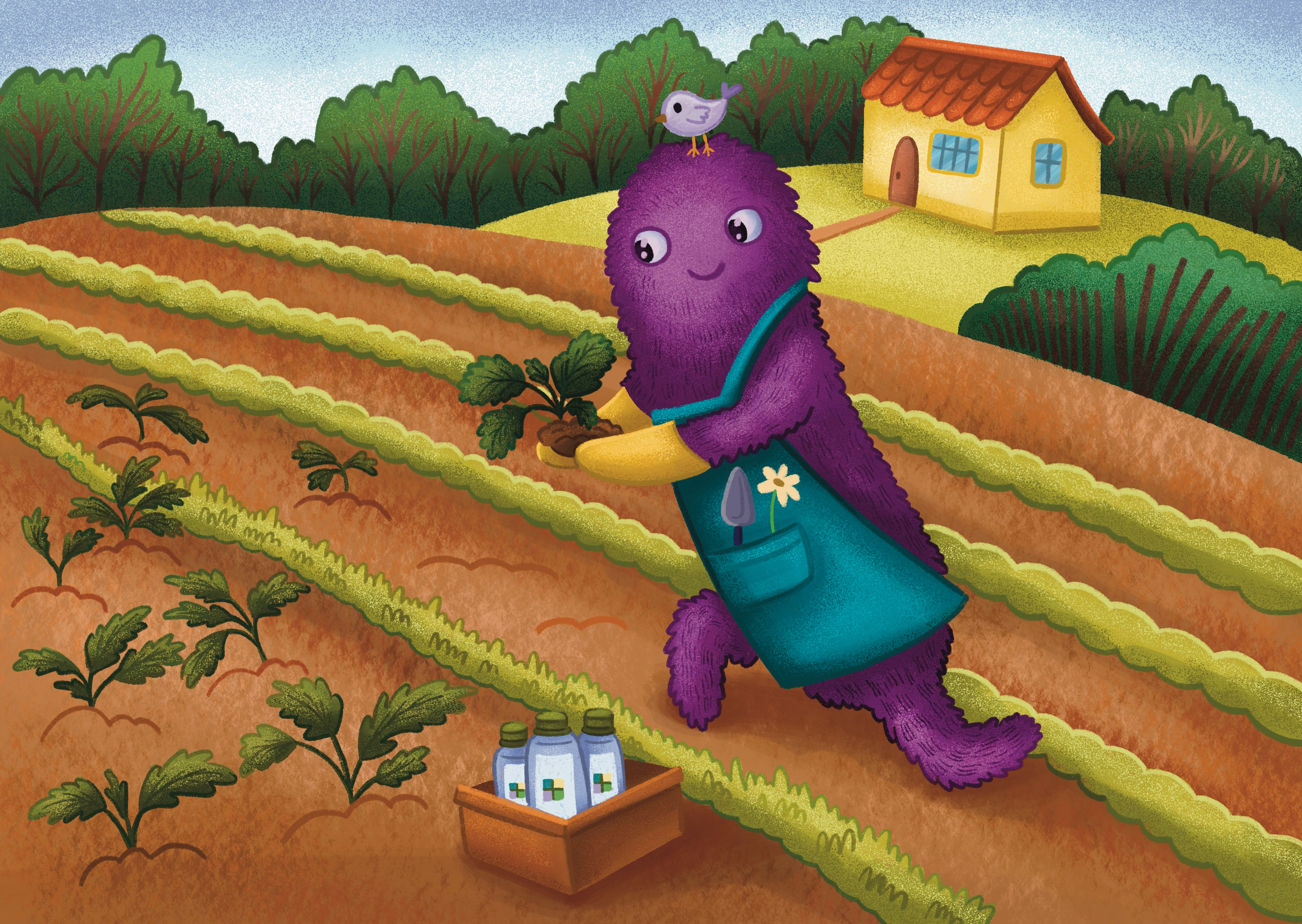 Illustrations for the 2025 calendar