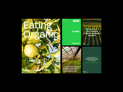 Eating Organic | Art Direction branding design graphic design typography