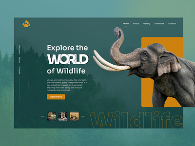 Explore Wildlife hero banner landing page ui ux webdesign wild life