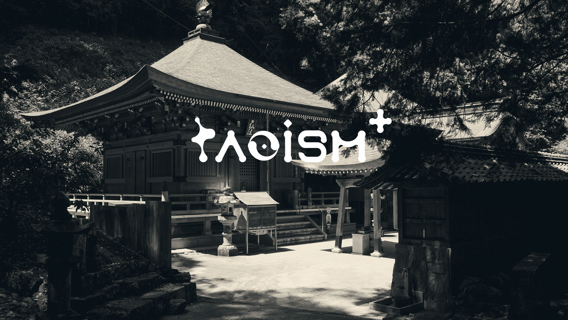 「TAOISM」Religious Branding Design animation branding graphic design