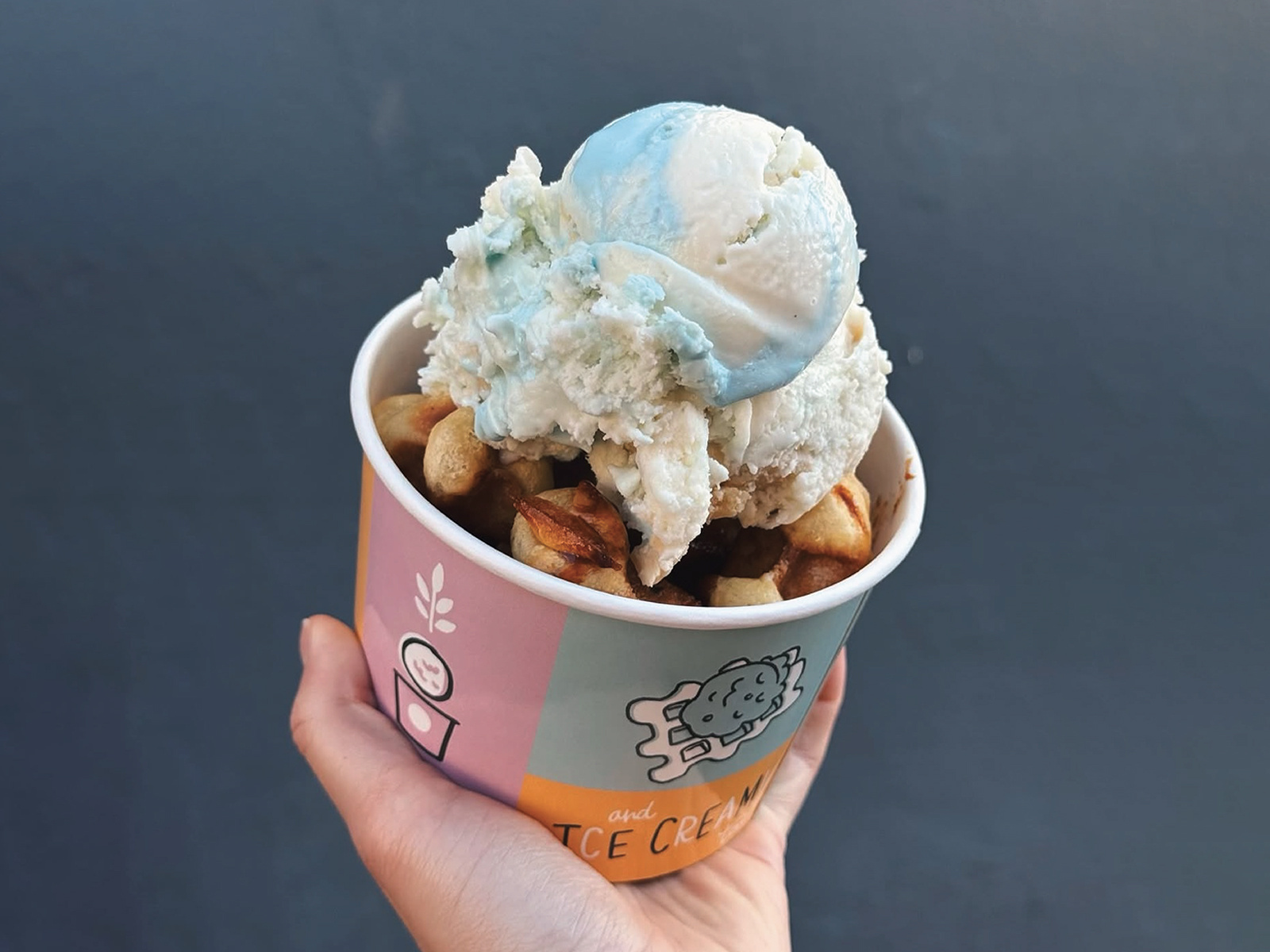 Nina's Ice Cream Packaging