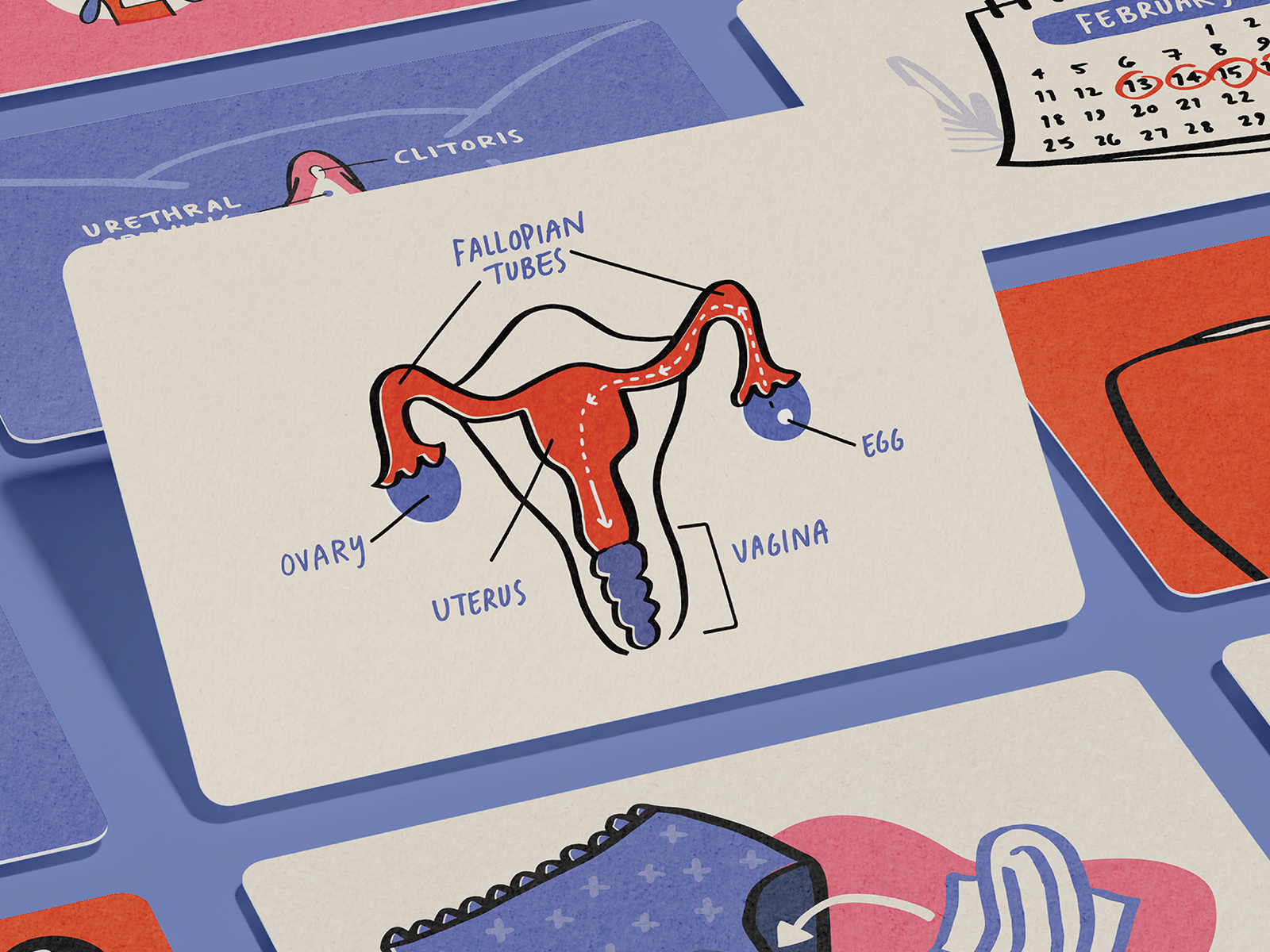 Girl's First Kit Illustration