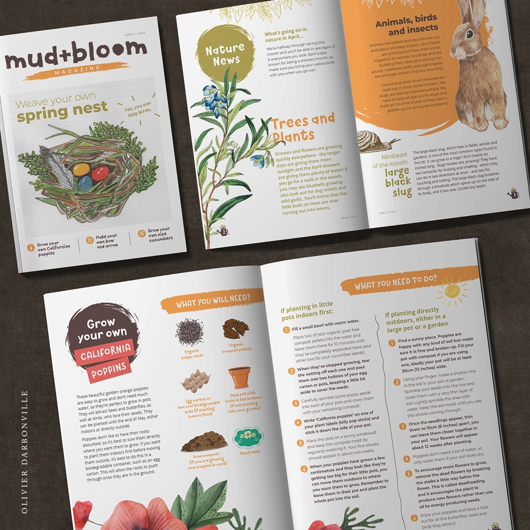 magazine layout design magazine layout