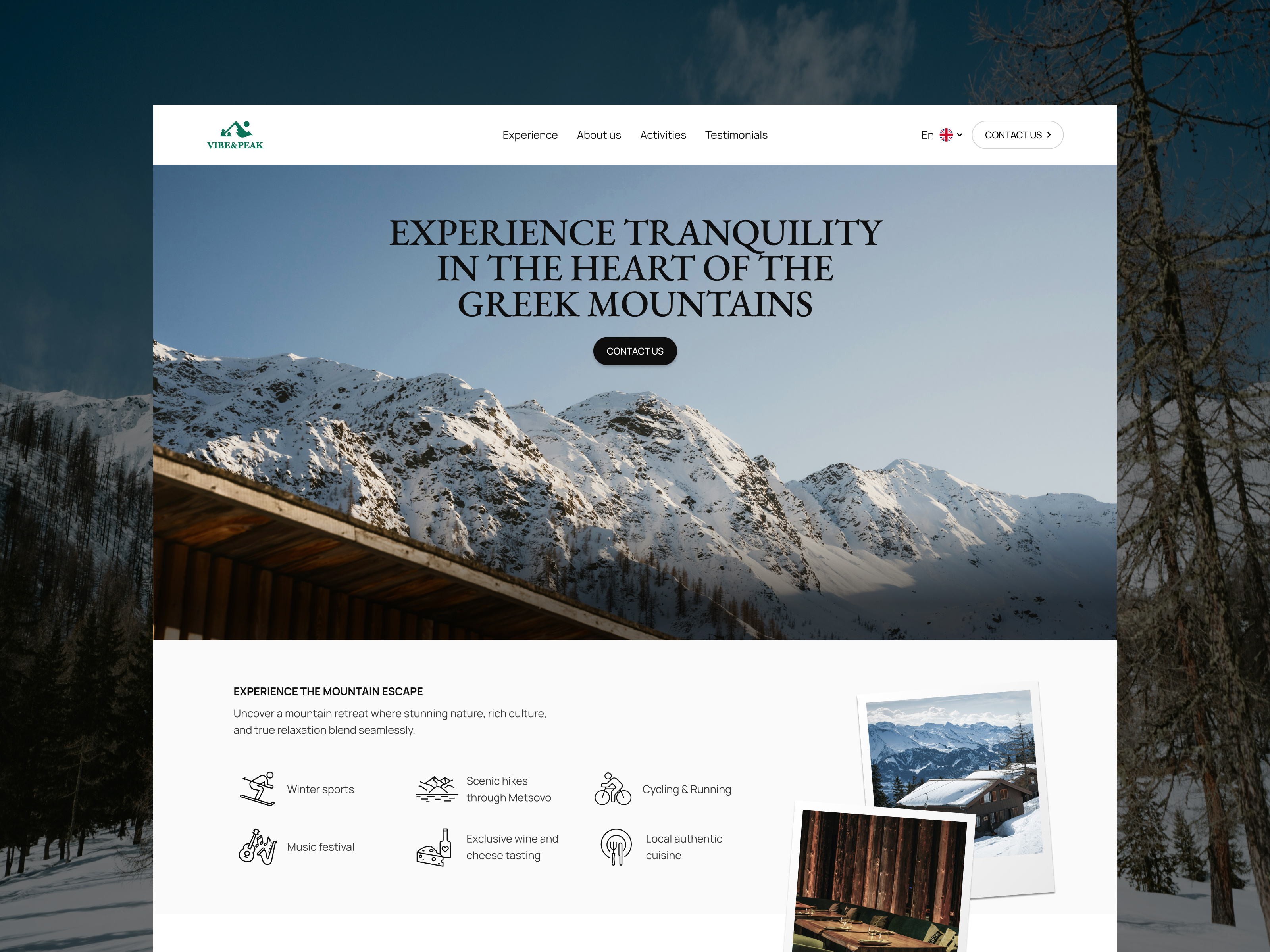 Example of Website Design + Development