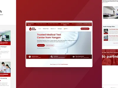 Royal Dragon Healthcare Web Design cleanui design minimalism ui ux webdesign