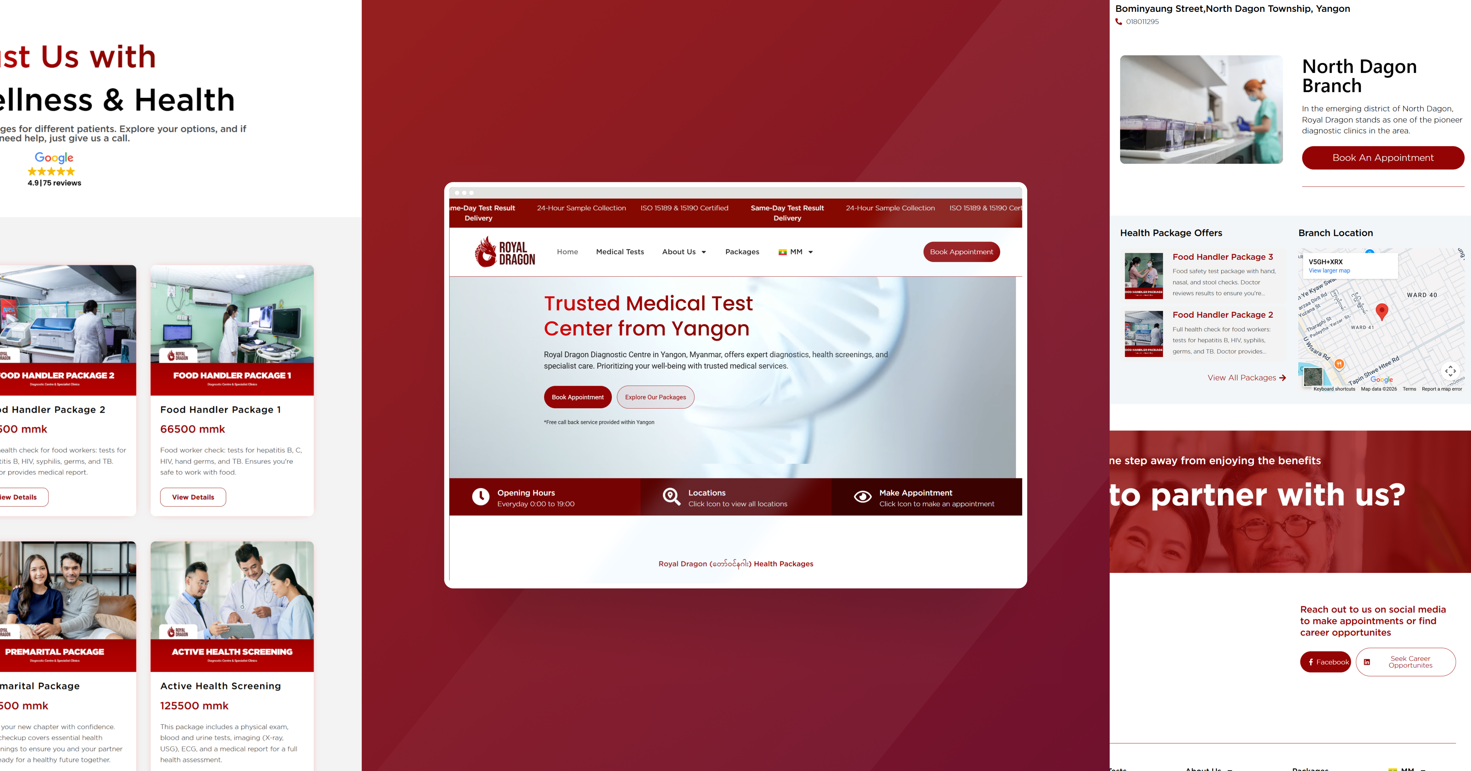 Royal Dragon Healthcare Web Design