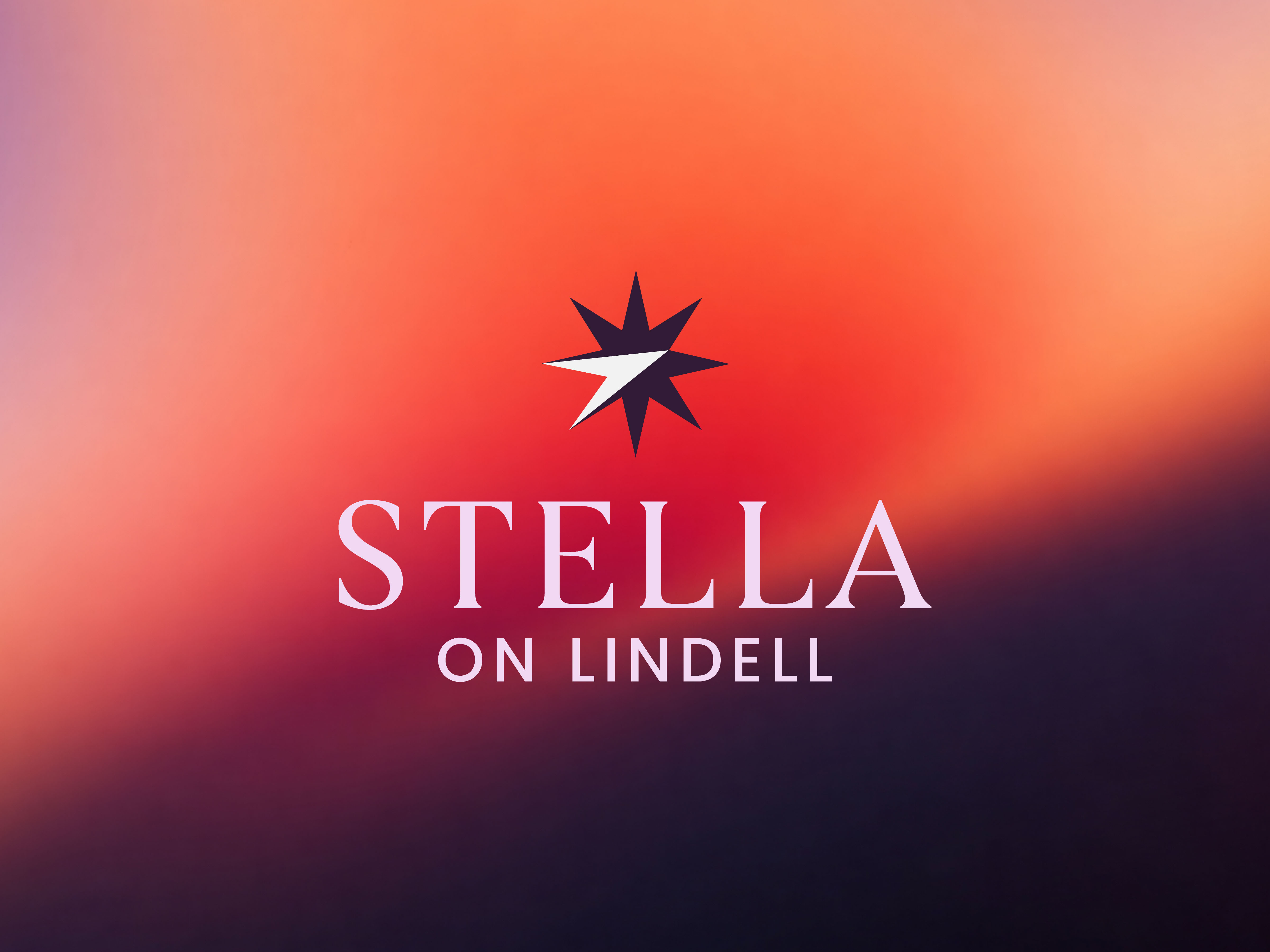 Stella: Logo & Visual Branding brand brand identity branding branding kit corporate branding design graphic design graphic designer icon logo logo design monogram typography vector