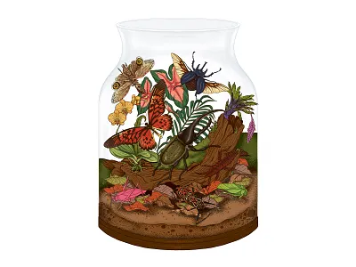 Tropical Insects🪲 adobe bark biologicalillustration bug butterfly illustration insect jar muti nature natureillustration photoshop plants wacomgallery