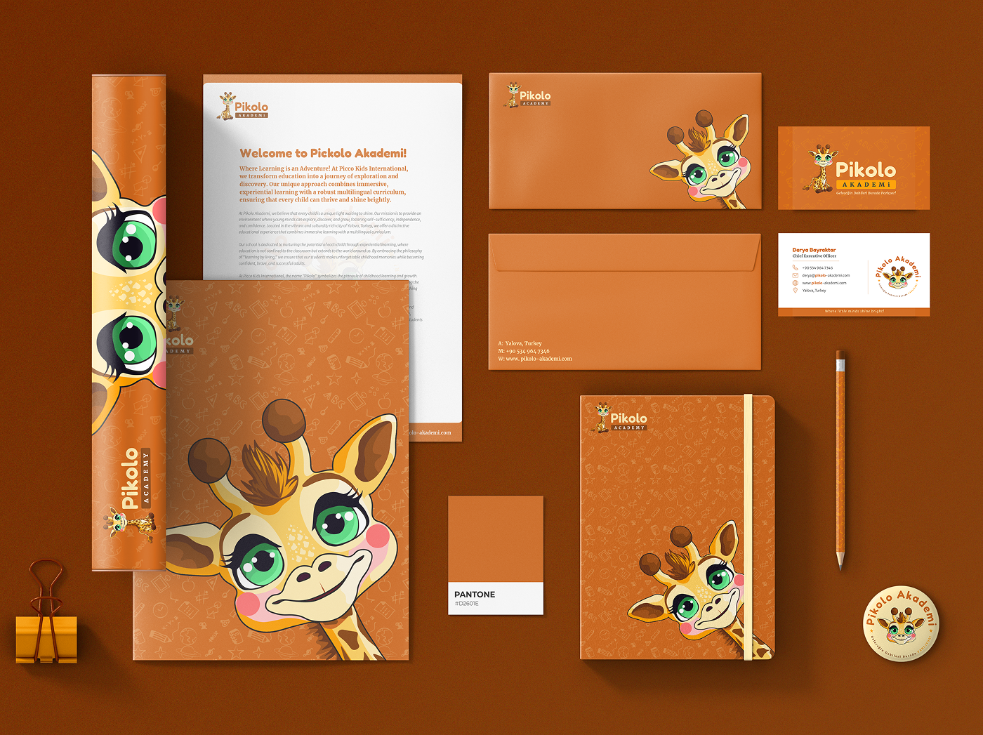 Pikolo Akademi — Preschool Branding brand identity branding character design education education branding graphic design identity illustration kids kids branding logo design mascot mascot design preschool typography visual design visual identity
