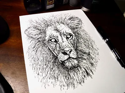 Yehudah aslan drawing hope illustration ink judah lion