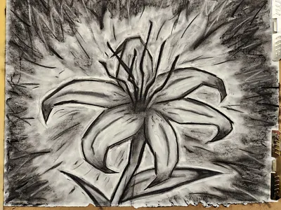 Charcoal Sketching charcoal illustration sketch