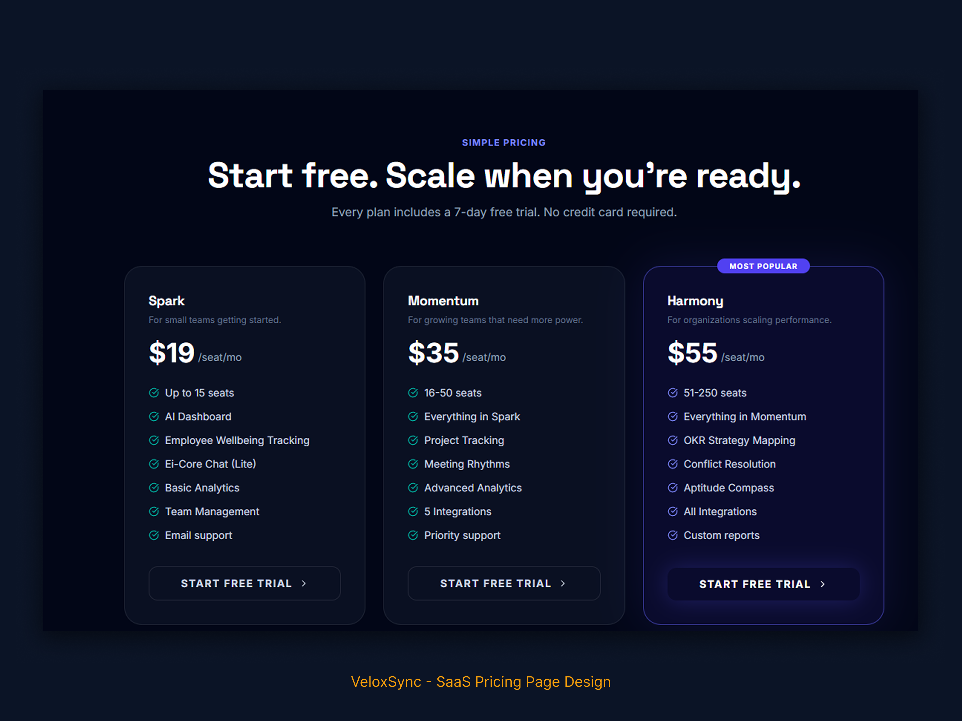 Example of Landing Page Design — Saa S & Business