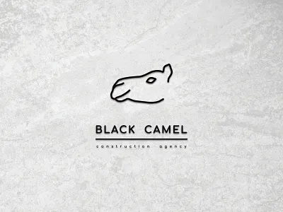 Black camel - logo design brand branding case colors design graphic design logo logo design typography vector