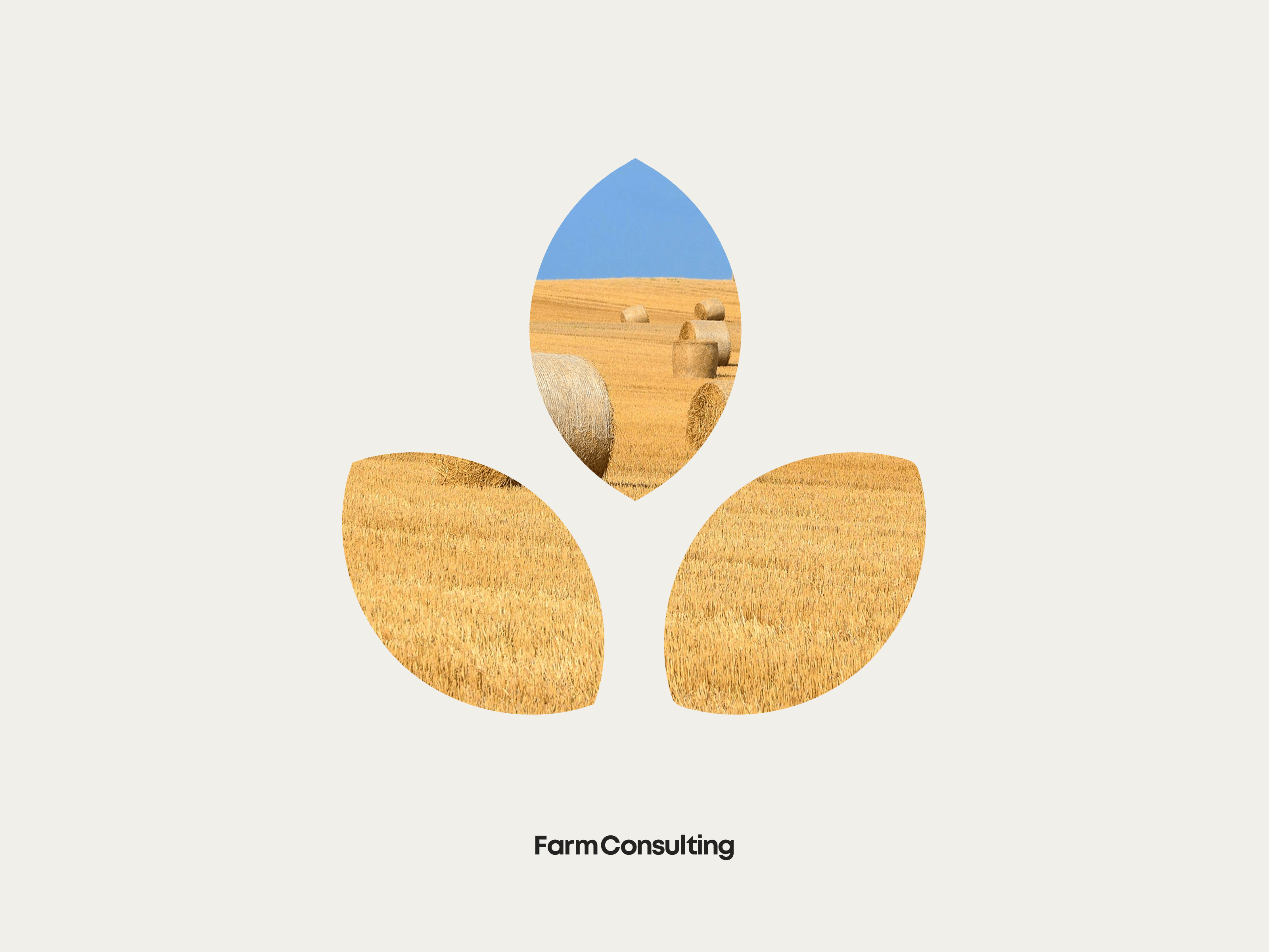 Example of Farm Consulting – A rural brand for the digital age