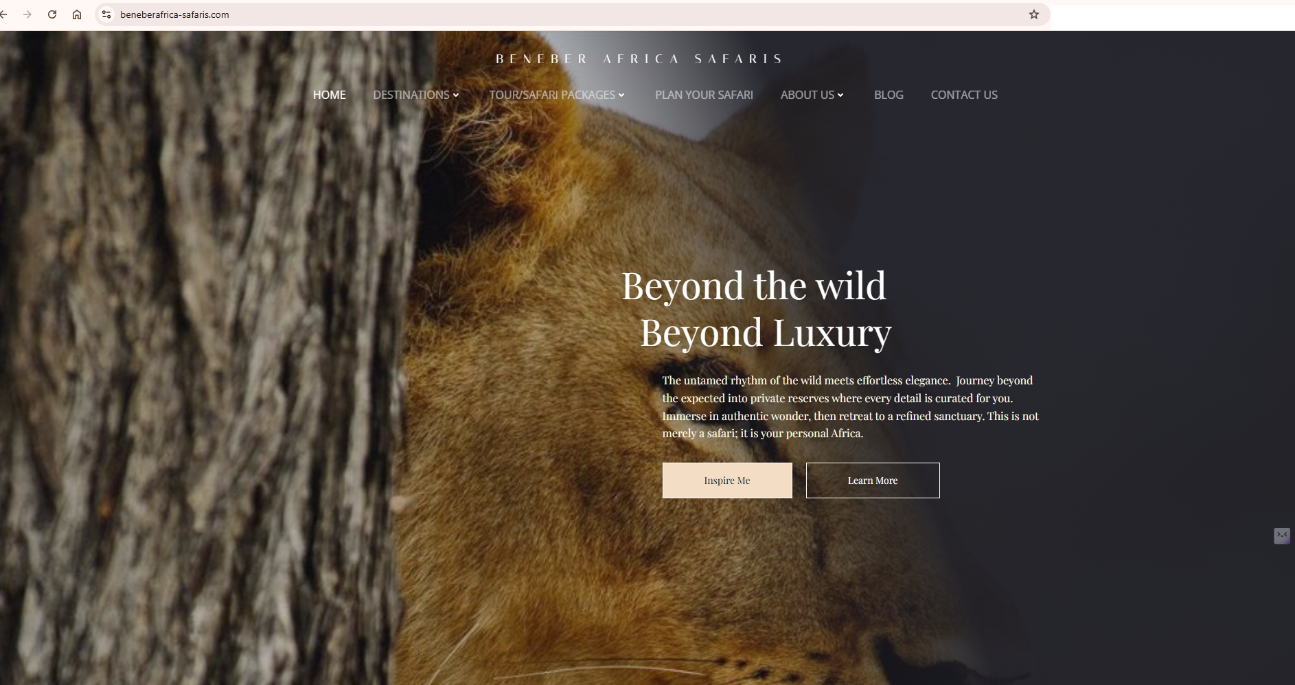 Safari tour website (Beneber Africa Safaris)