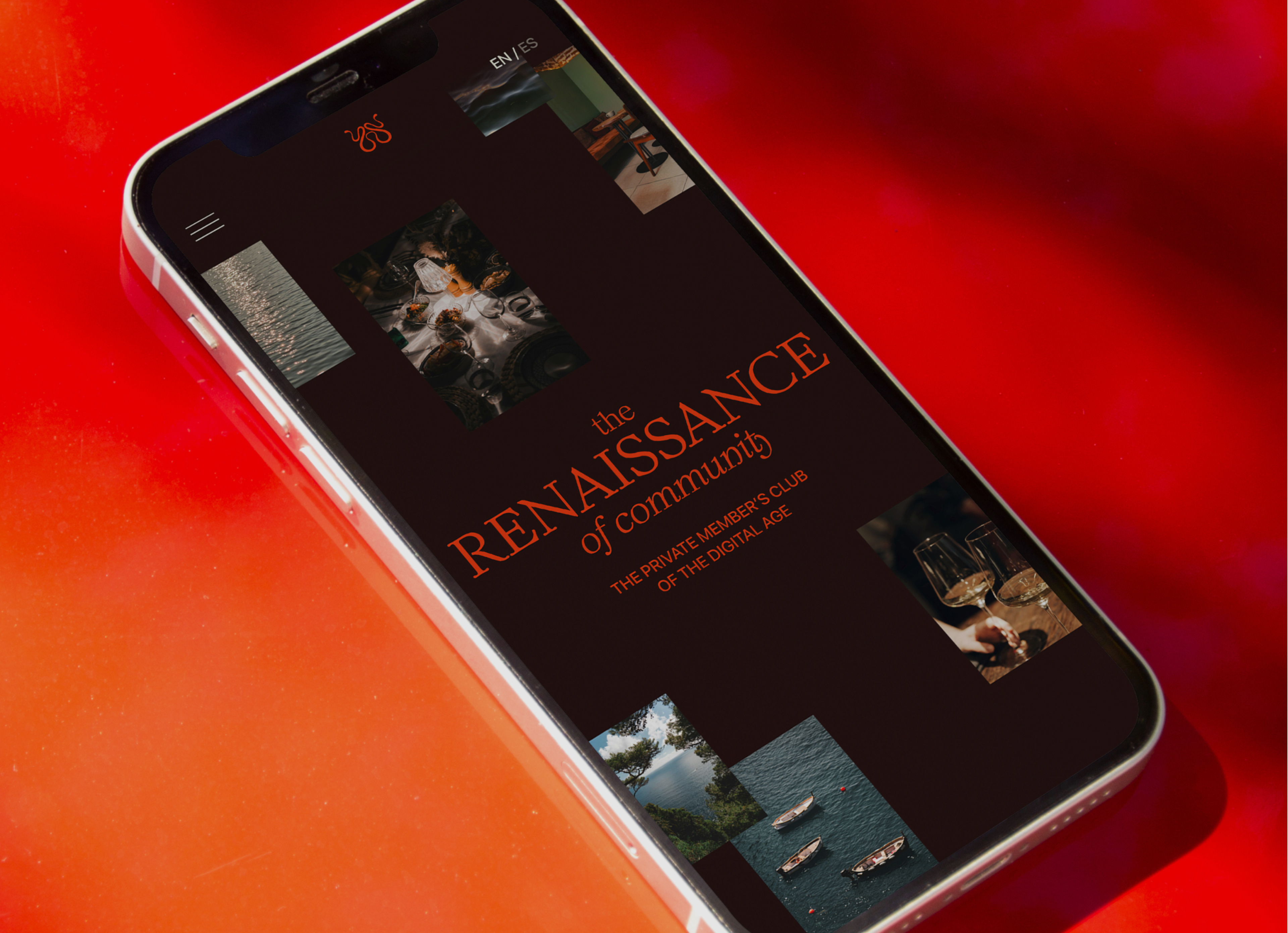 Satius App - Landing Page, 02