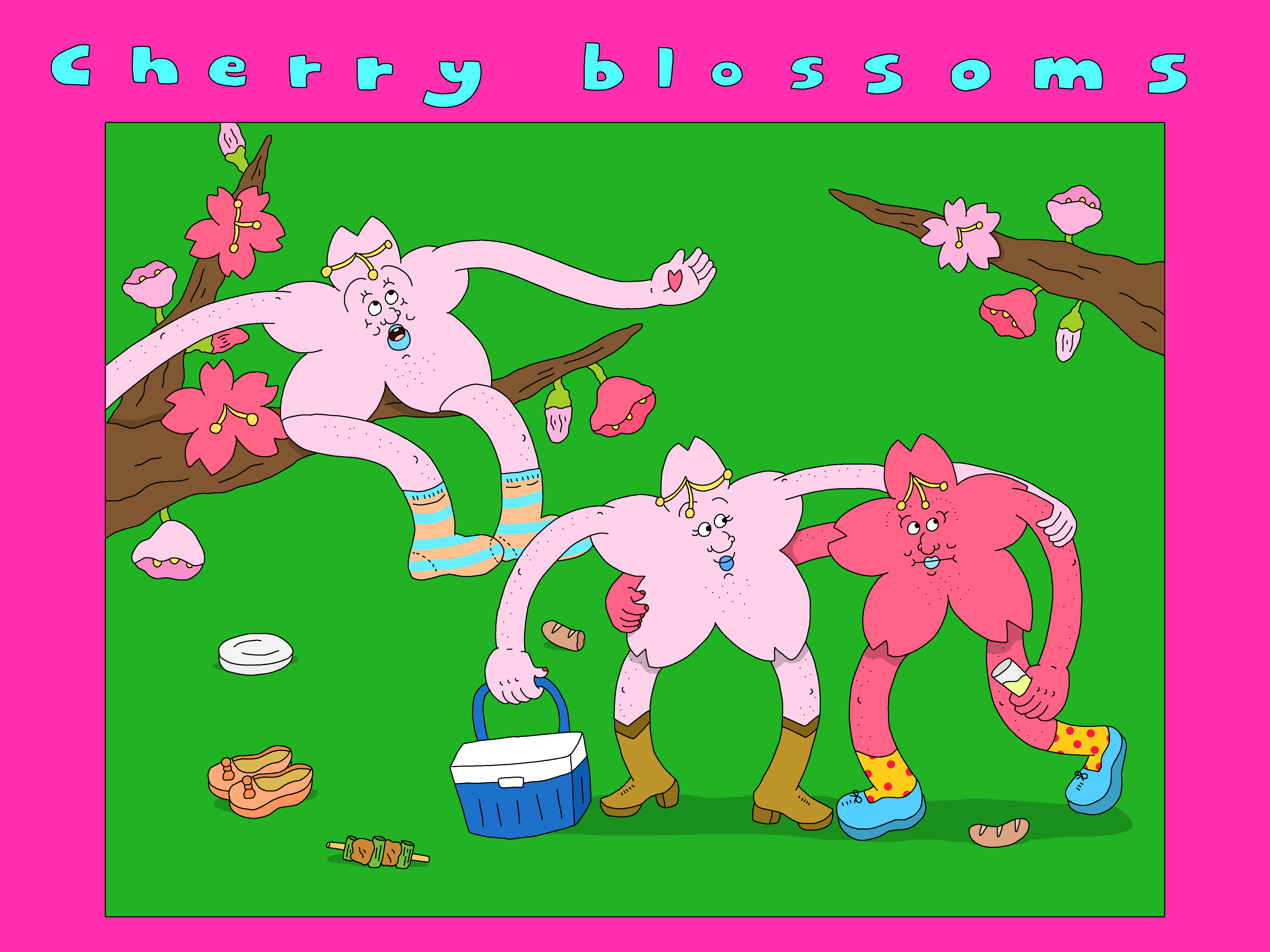 Cherry Blossoms