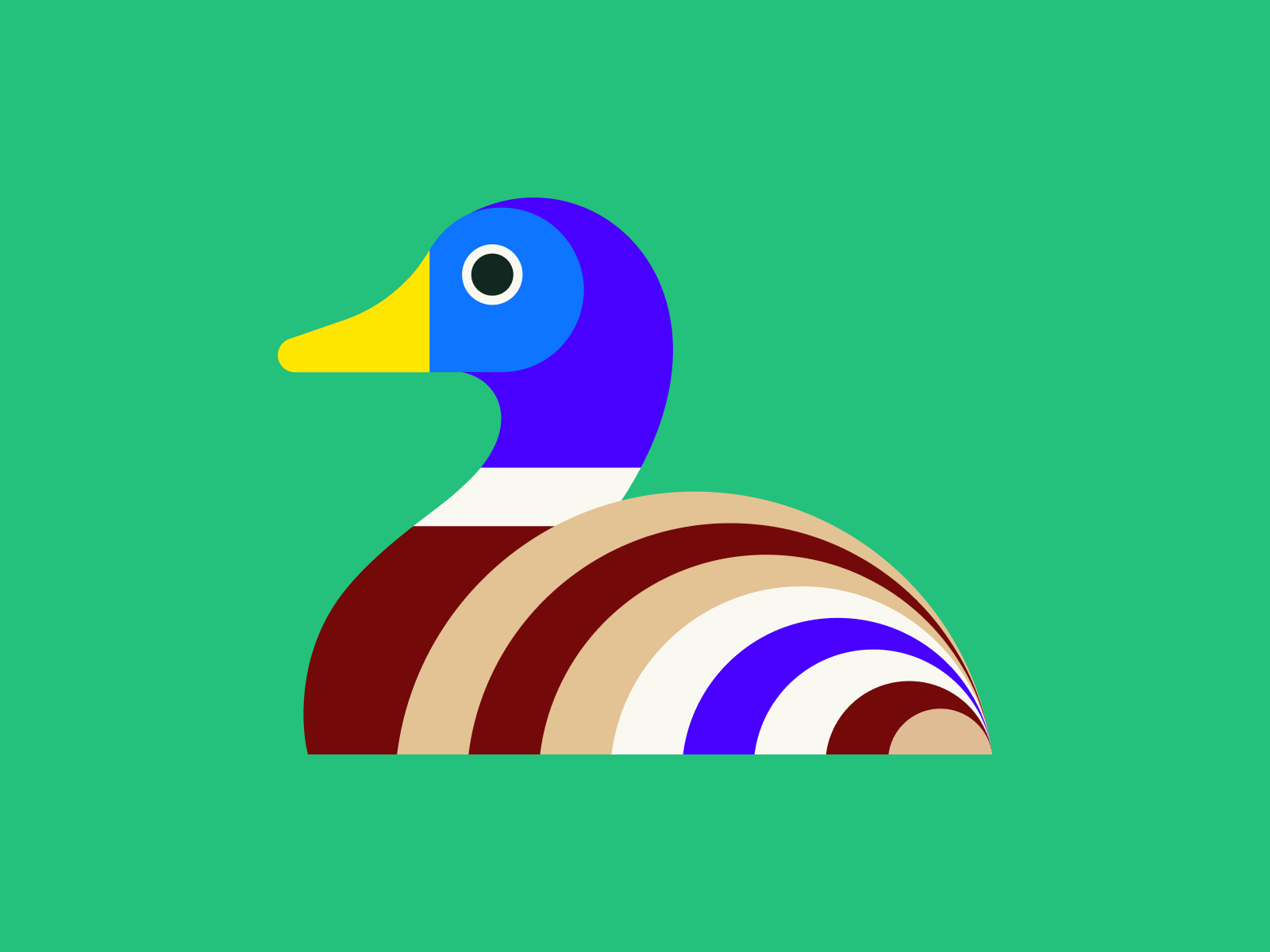 Duck
