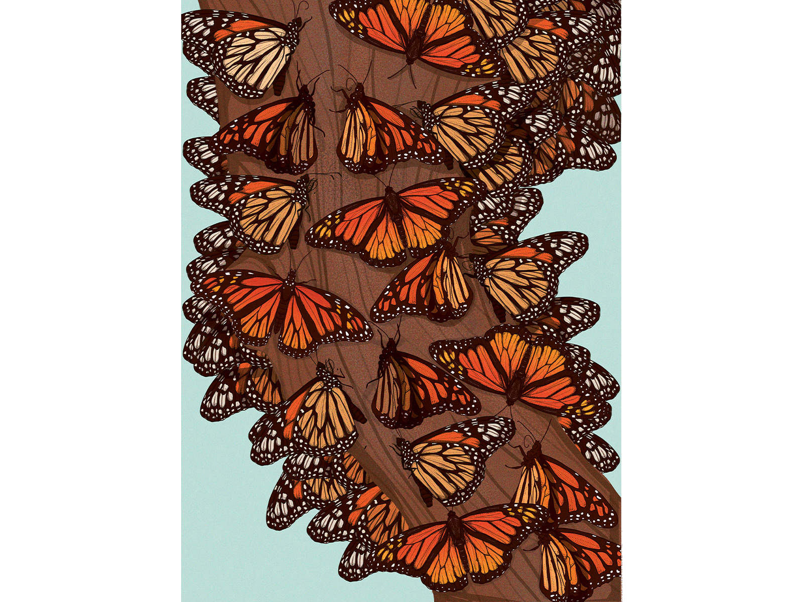 Monarch Butterflies 🦋 adobe brak butterfly digitalillustration digitalpainting illustration muti naturalillustration nature ornage photoshop tree wacomgallery