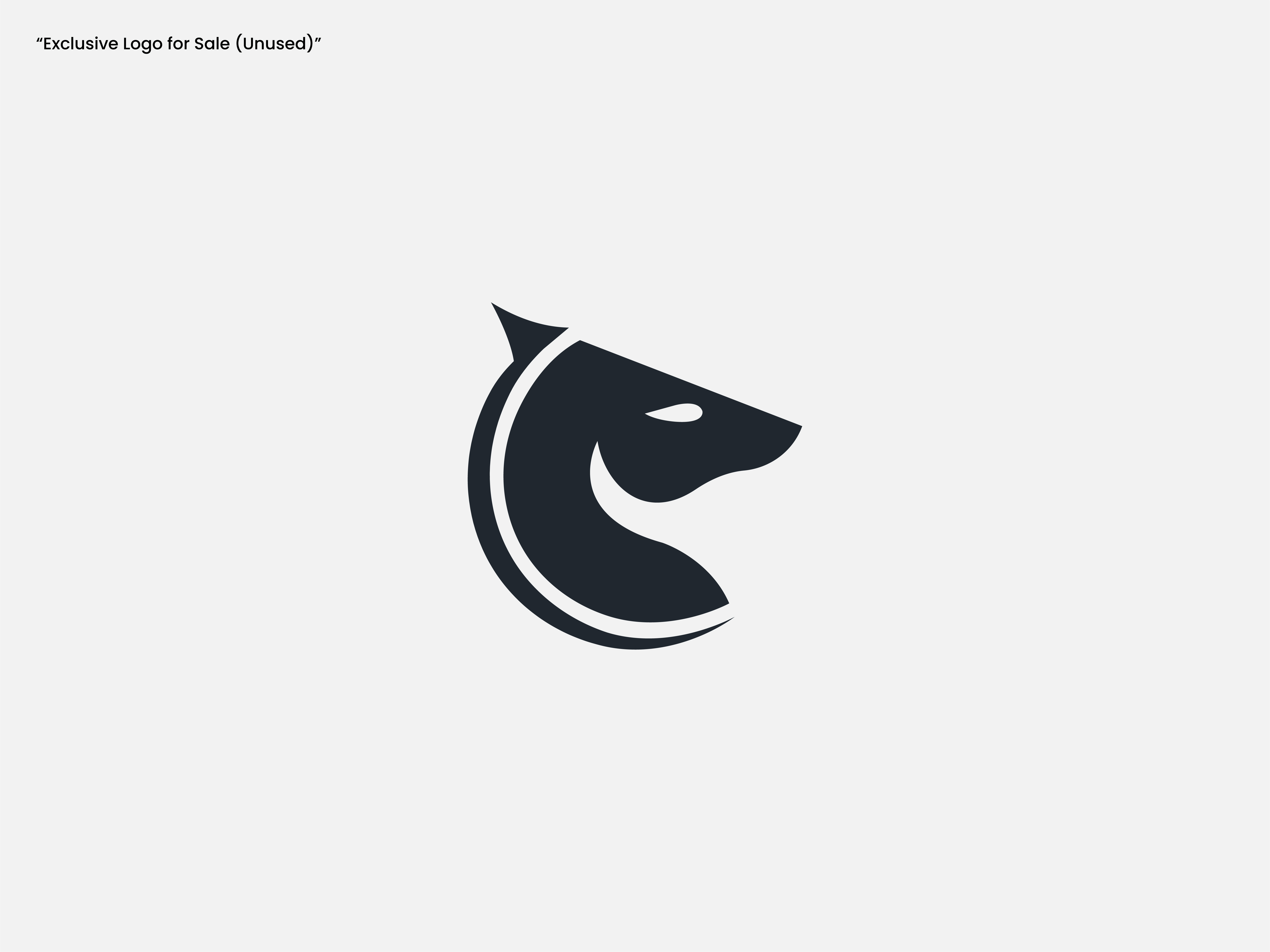 Modern Horse Logo Design | Minimal And Modern logo design,