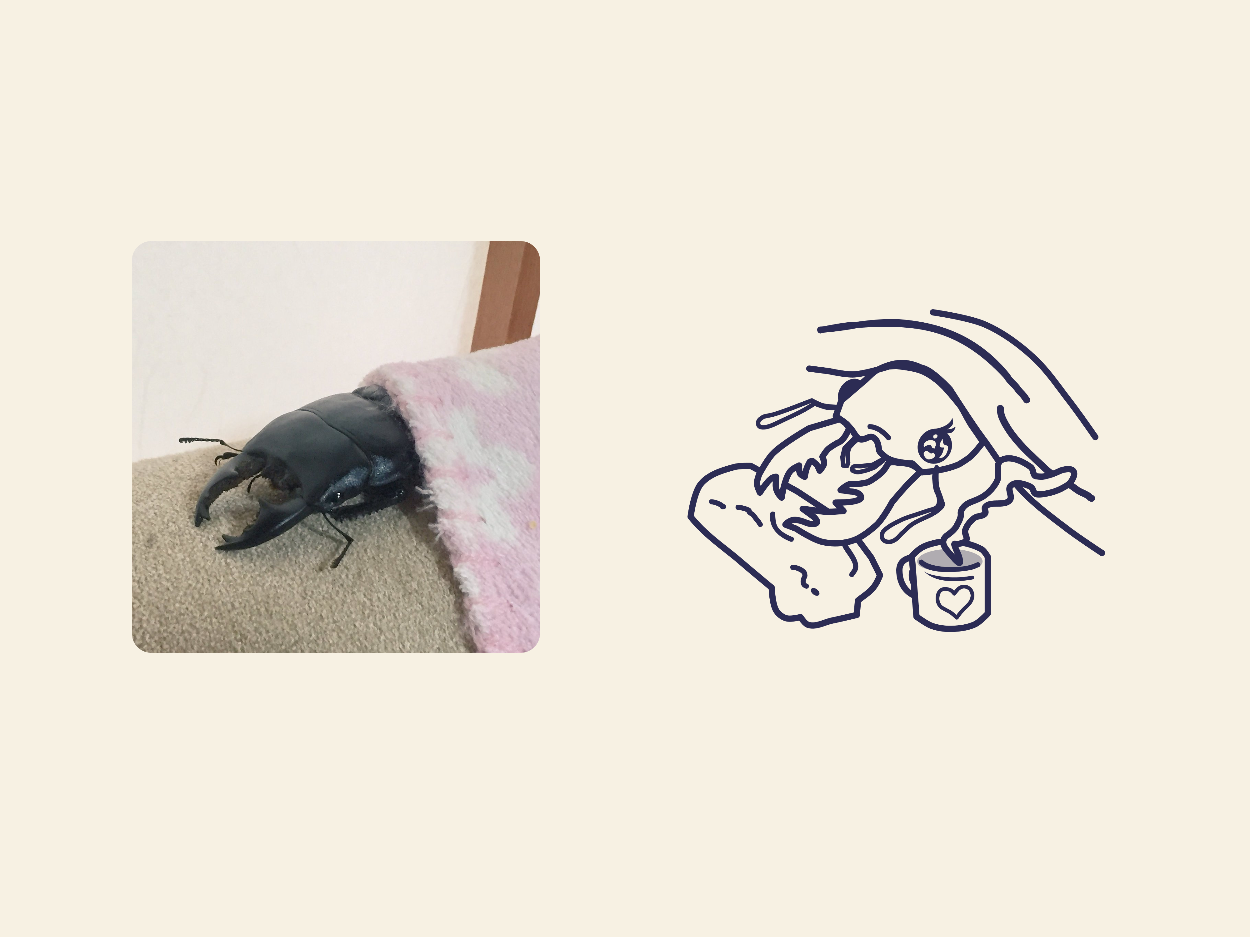 Stag beetle under a blanket — illustration and reference contour cute graphic design illustration line minimalist reference simple