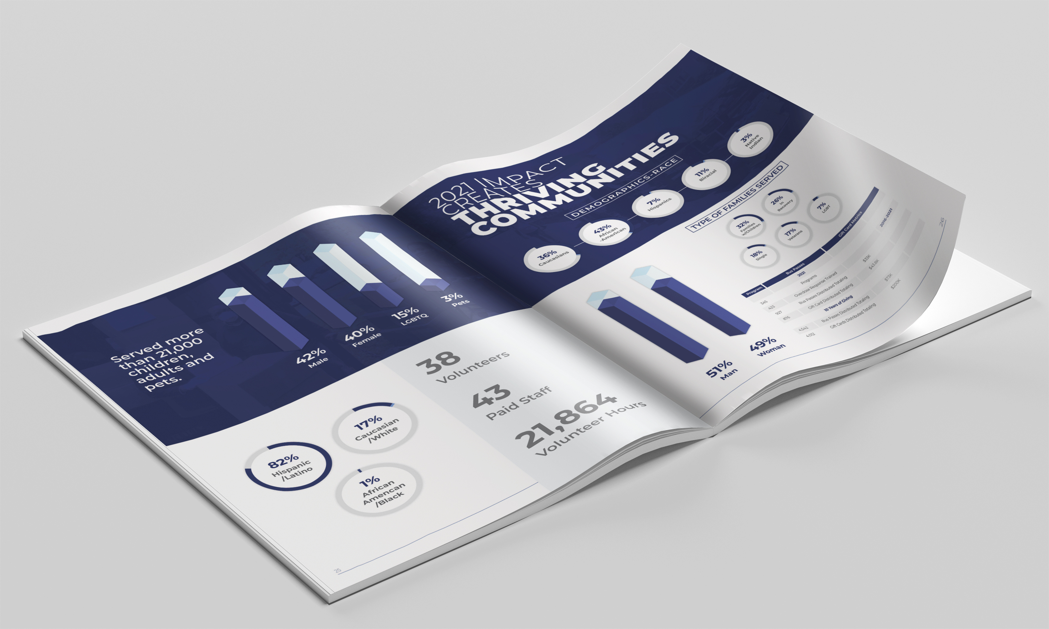 Example of Premium Annual Report Design