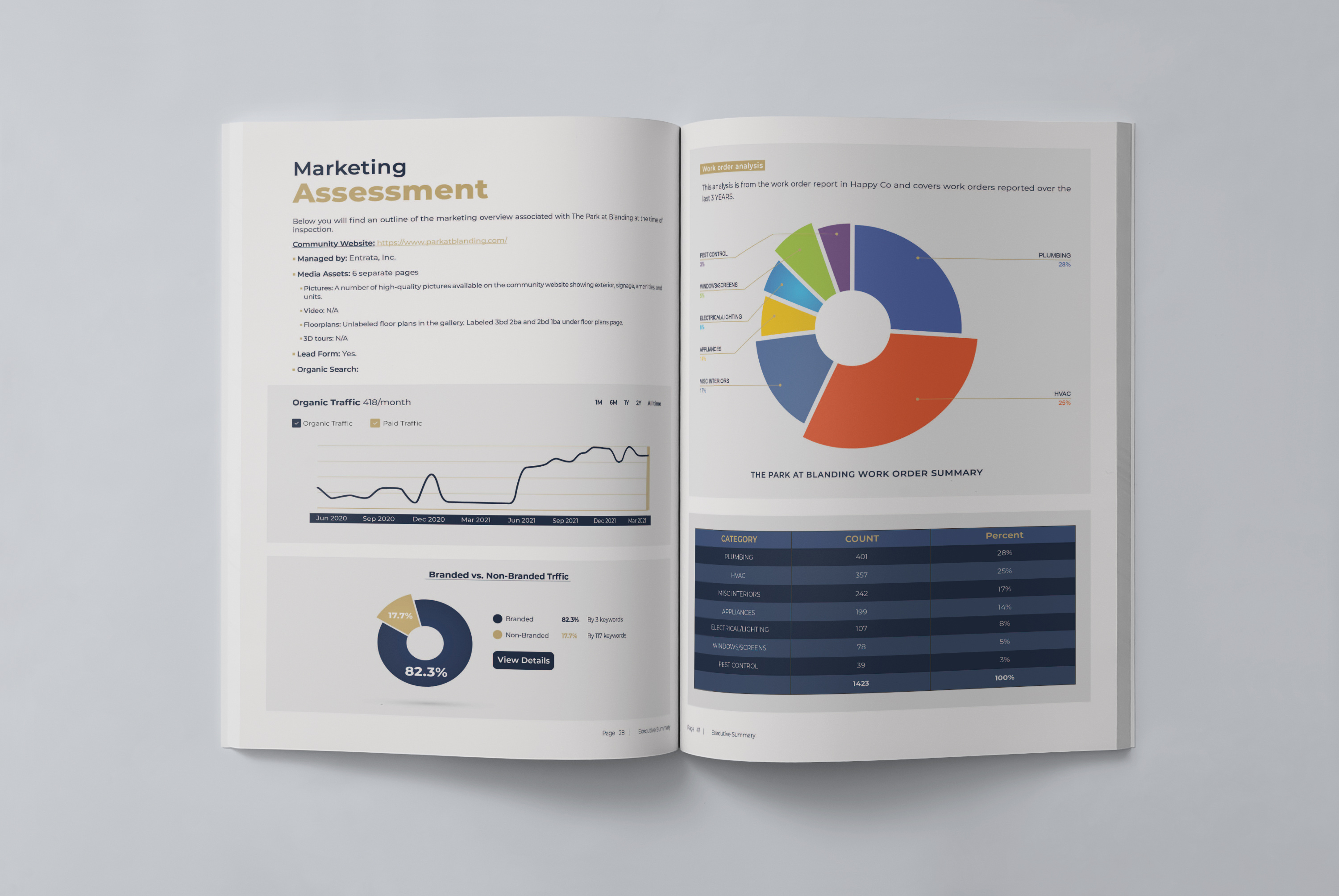 Example of Professional Business Report Design