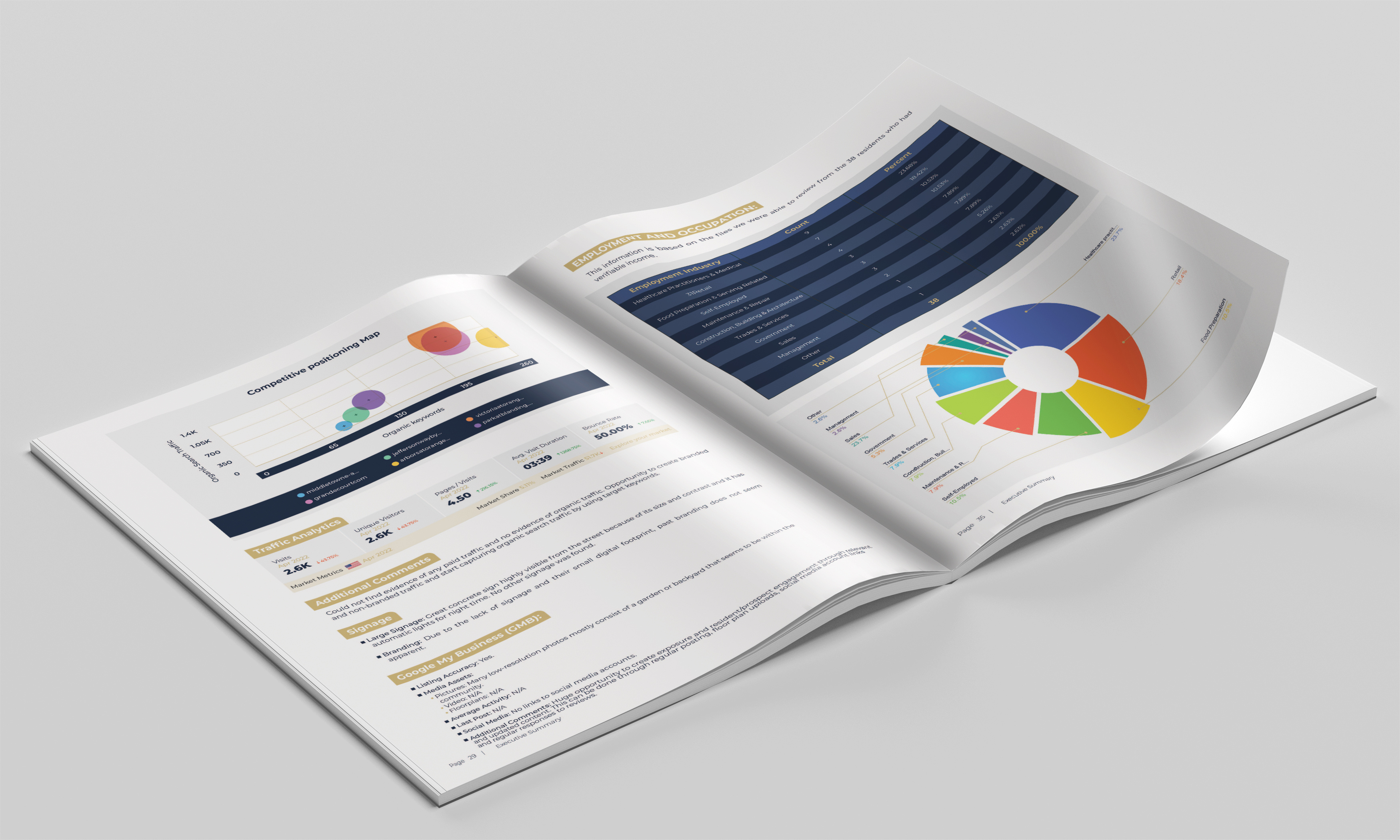 Example of Professional Business Report Design