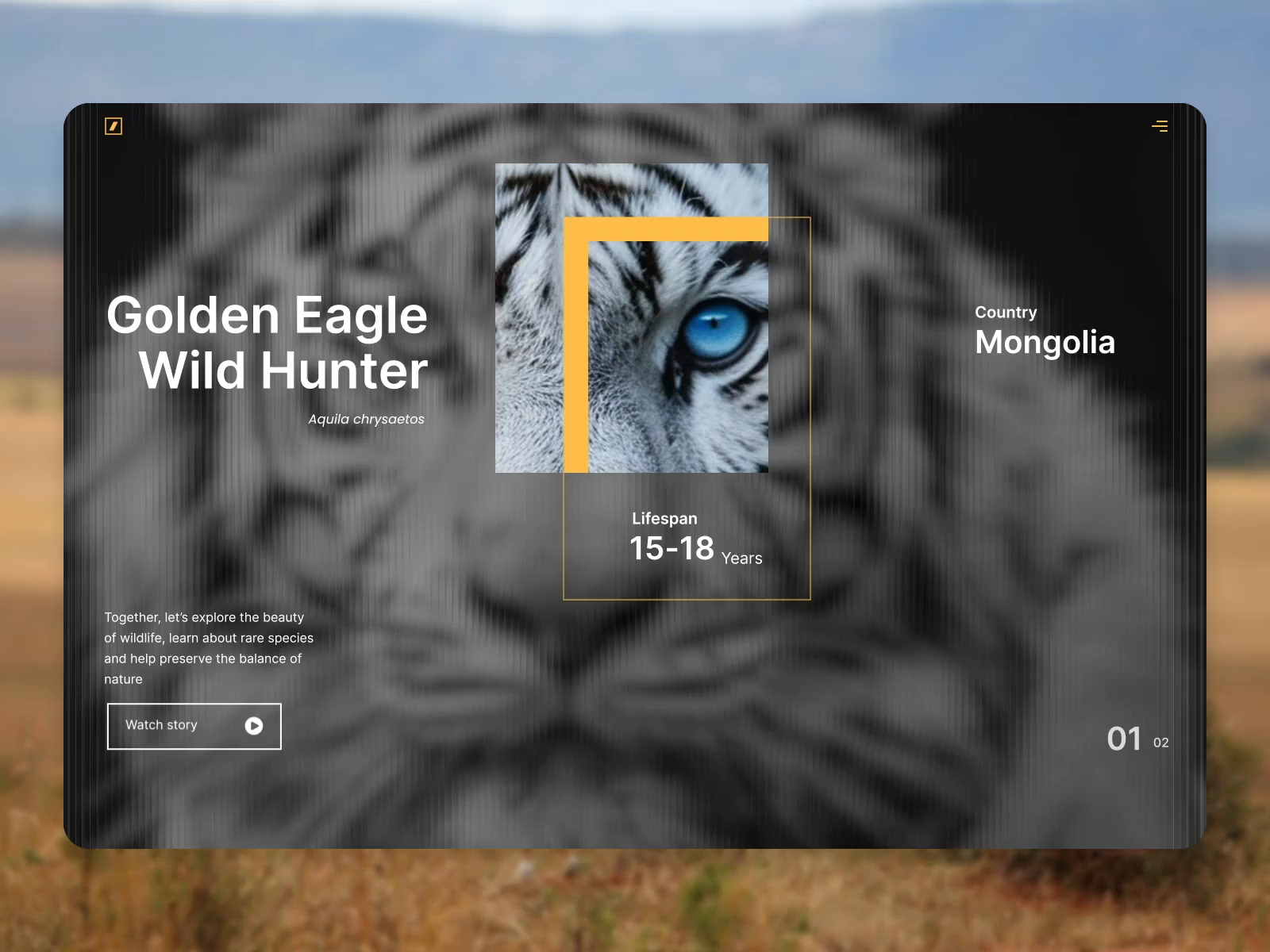 Example of Website Design   Website UI/UX Redesign