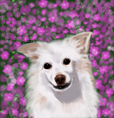 Scooby art artsy design digital art digital illustration digital portrait illustration pet pet portrait