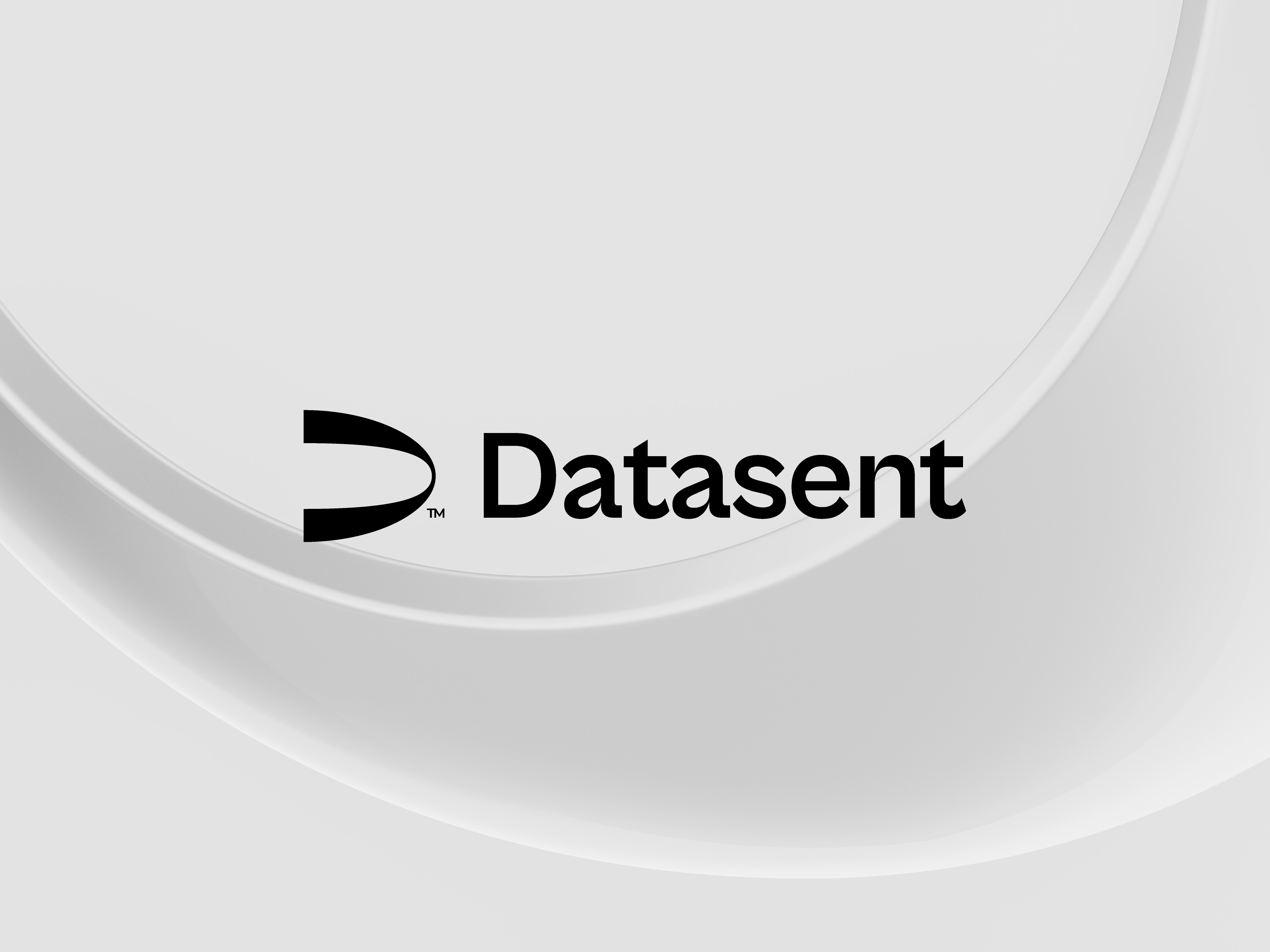 Datasent Logo Design brand identity branding d letter logo d logo data concept logo data logo data logo design graphic design logo logo data logo design minimal logo modern logo