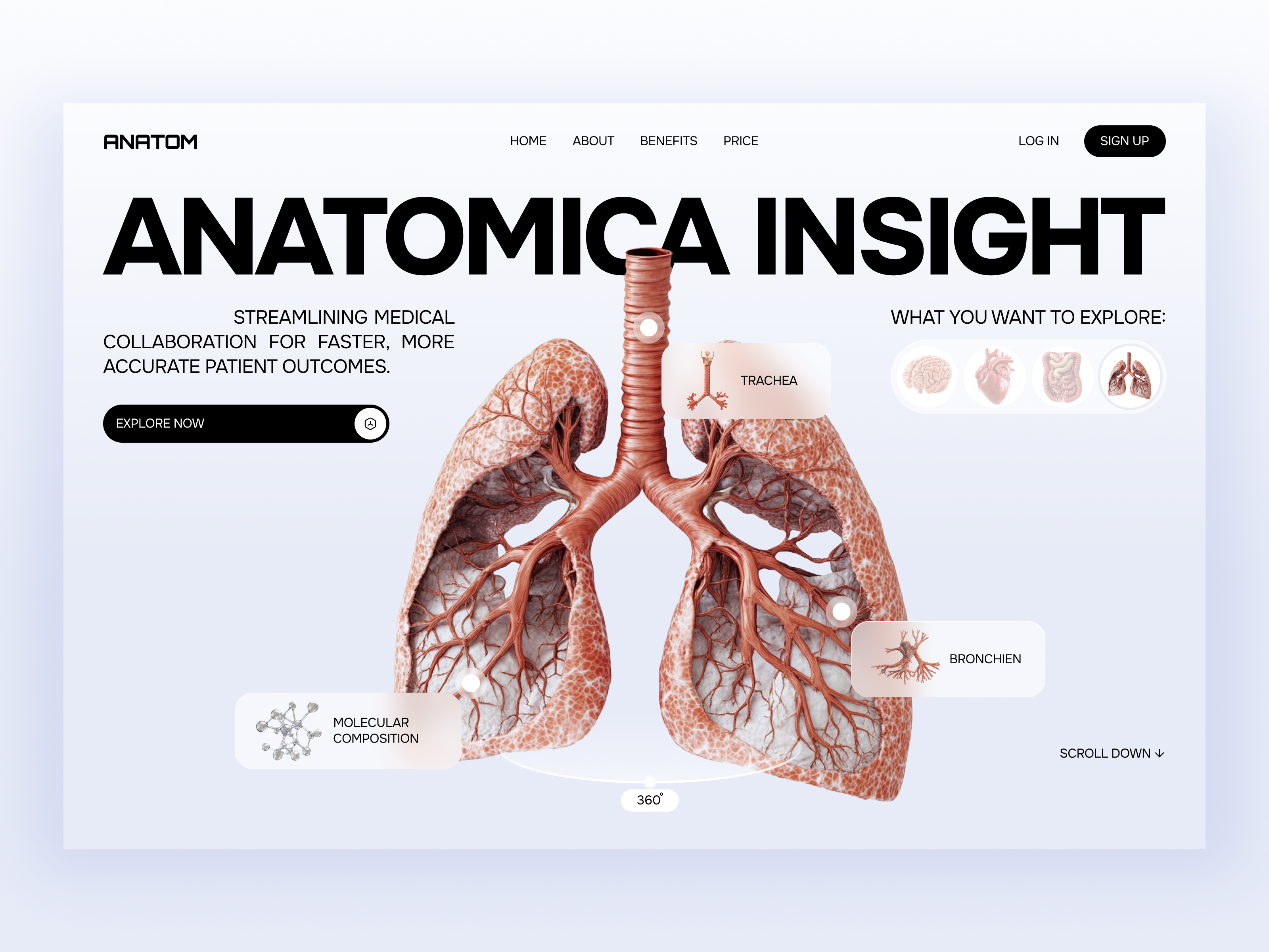 🧬 Web Design for medical platform | Hyperactive clean ui concept design health healthcare homepage hyperactive landing page medical patient product design ui ux web design website wellness