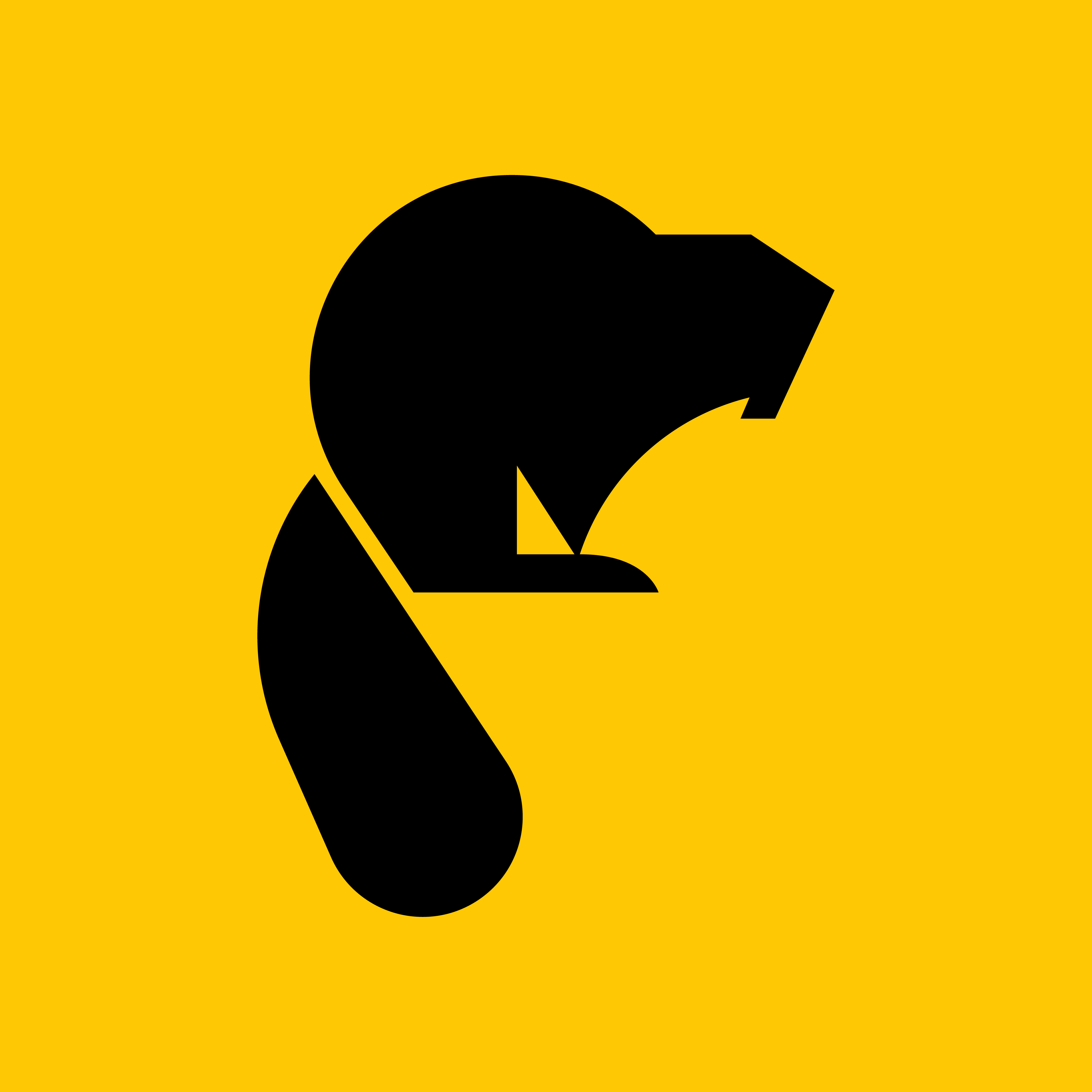 Beaver