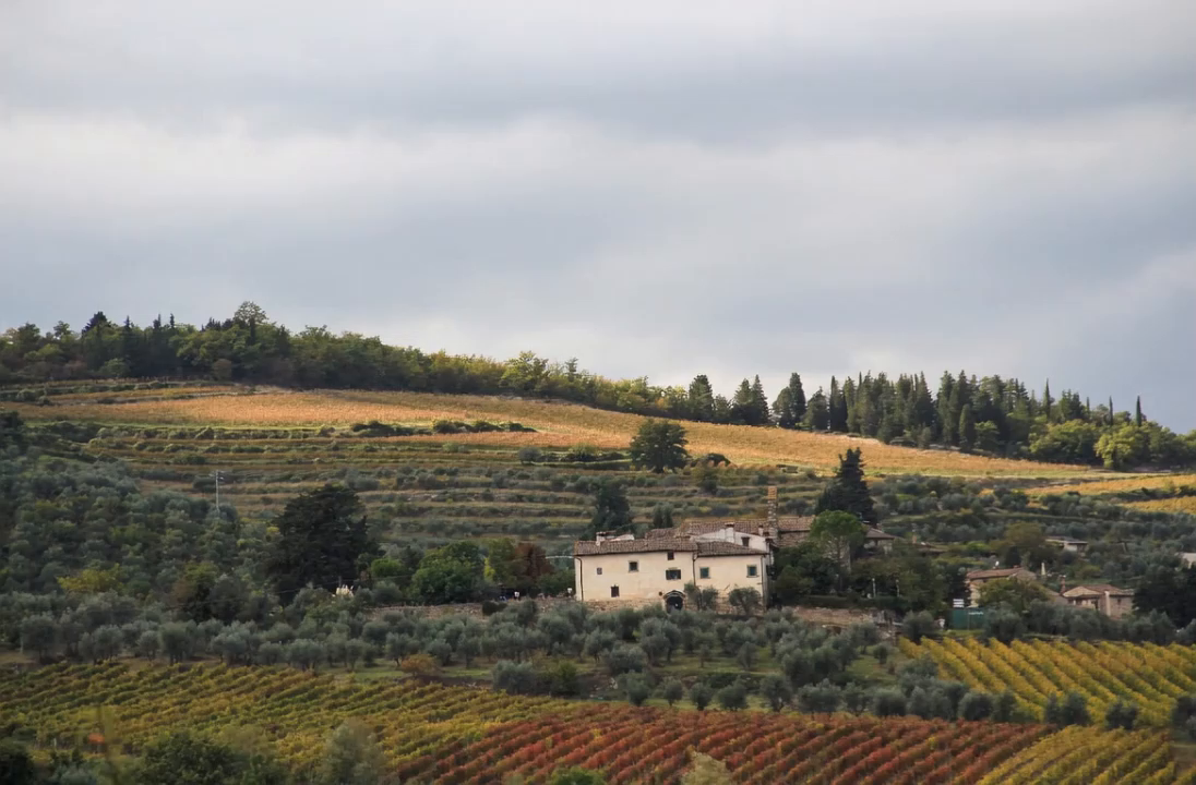 Tuscan Landscape — Cinematic Study