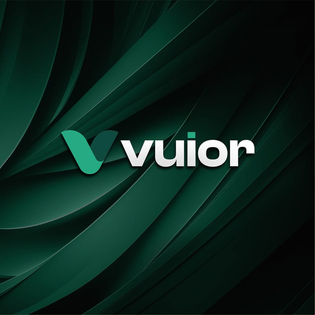 Vuior branding design graphic design illustration logo
