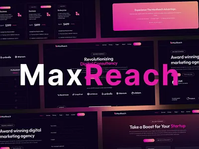 MaxReach WordPress Theme – SEO & Digital Agency agency assets freebies freedesignki graphic design web design wordpress themes