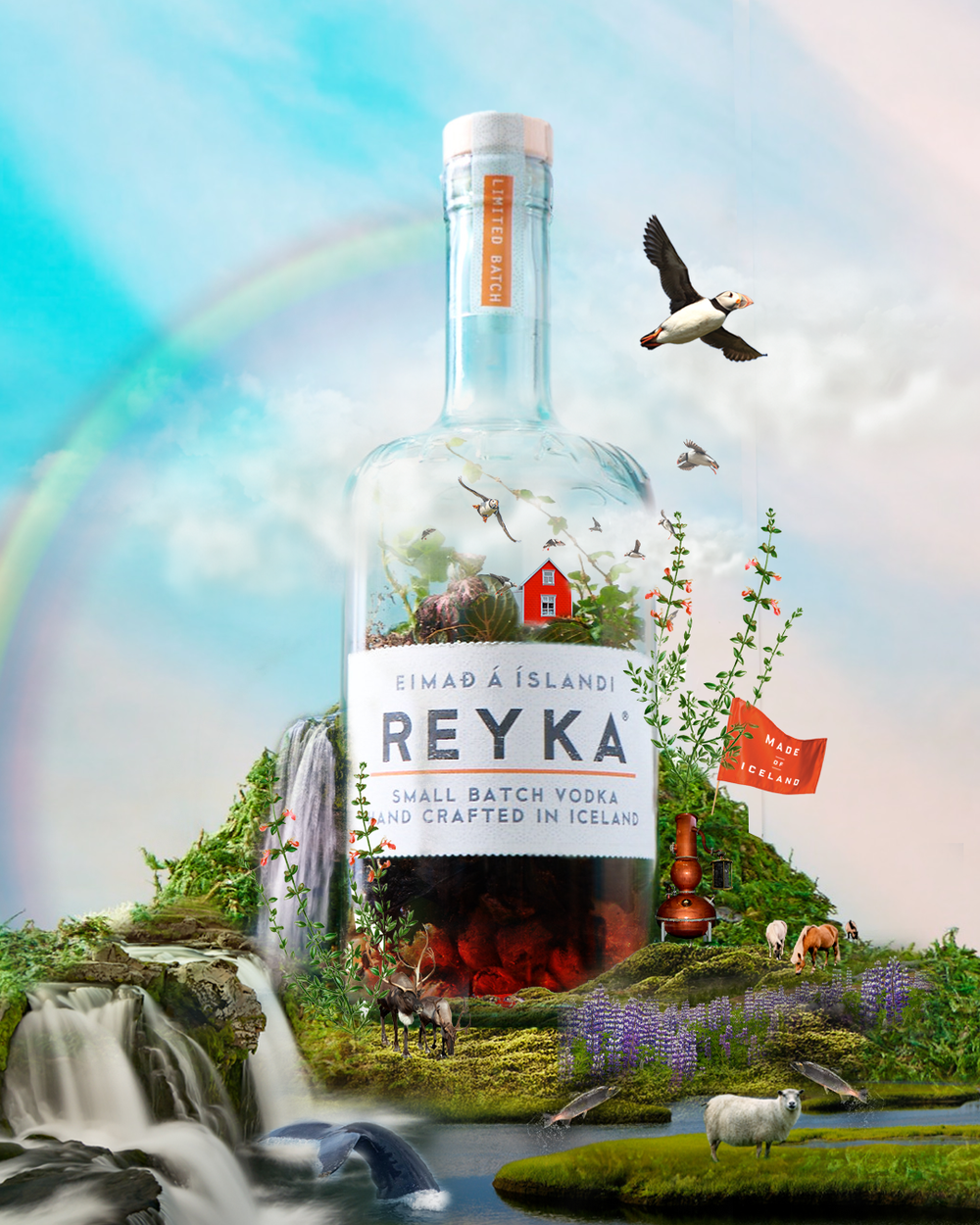 Earth Day (Icelandic way) art direction graphic design