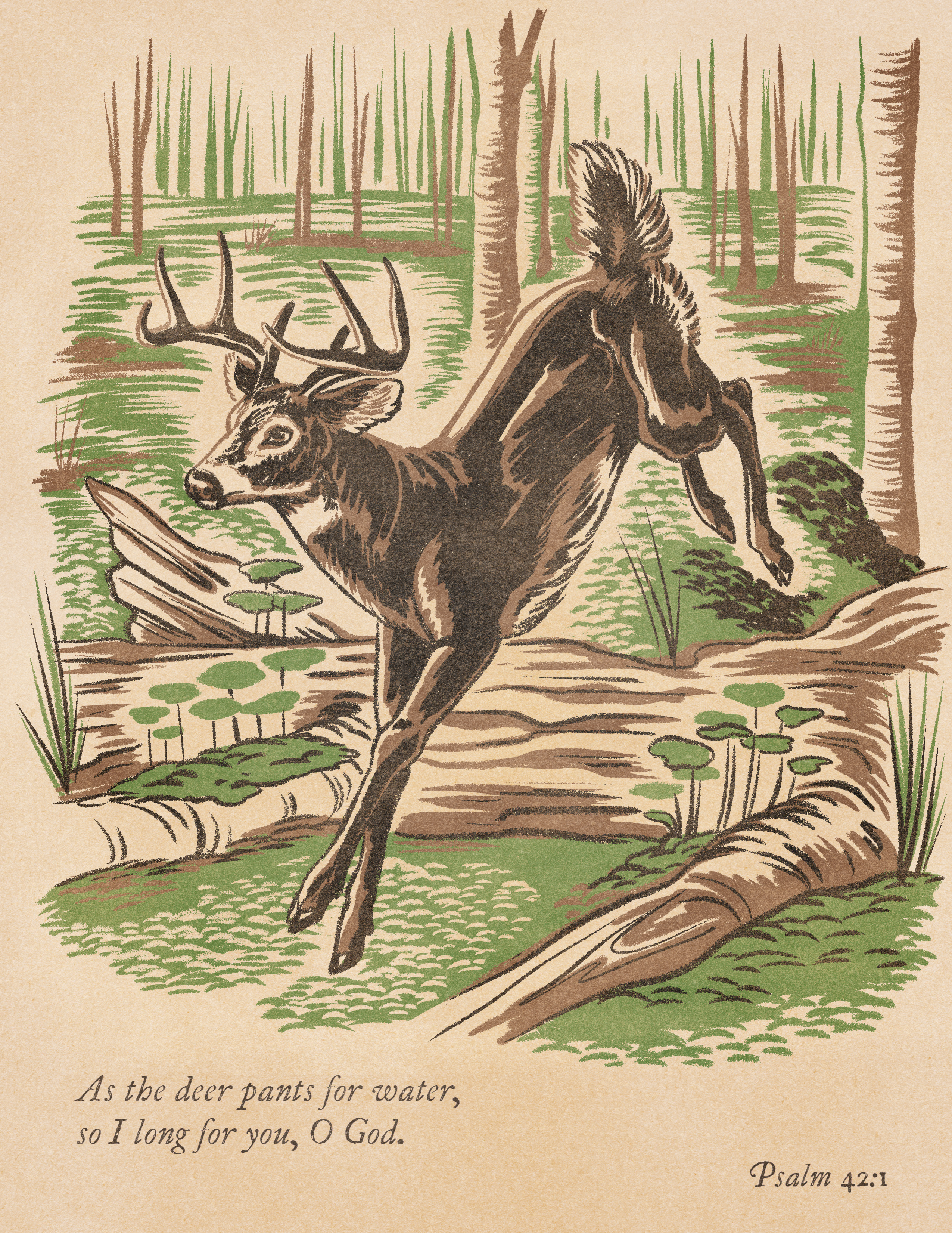 Example of Simple Illustration/Cartoon