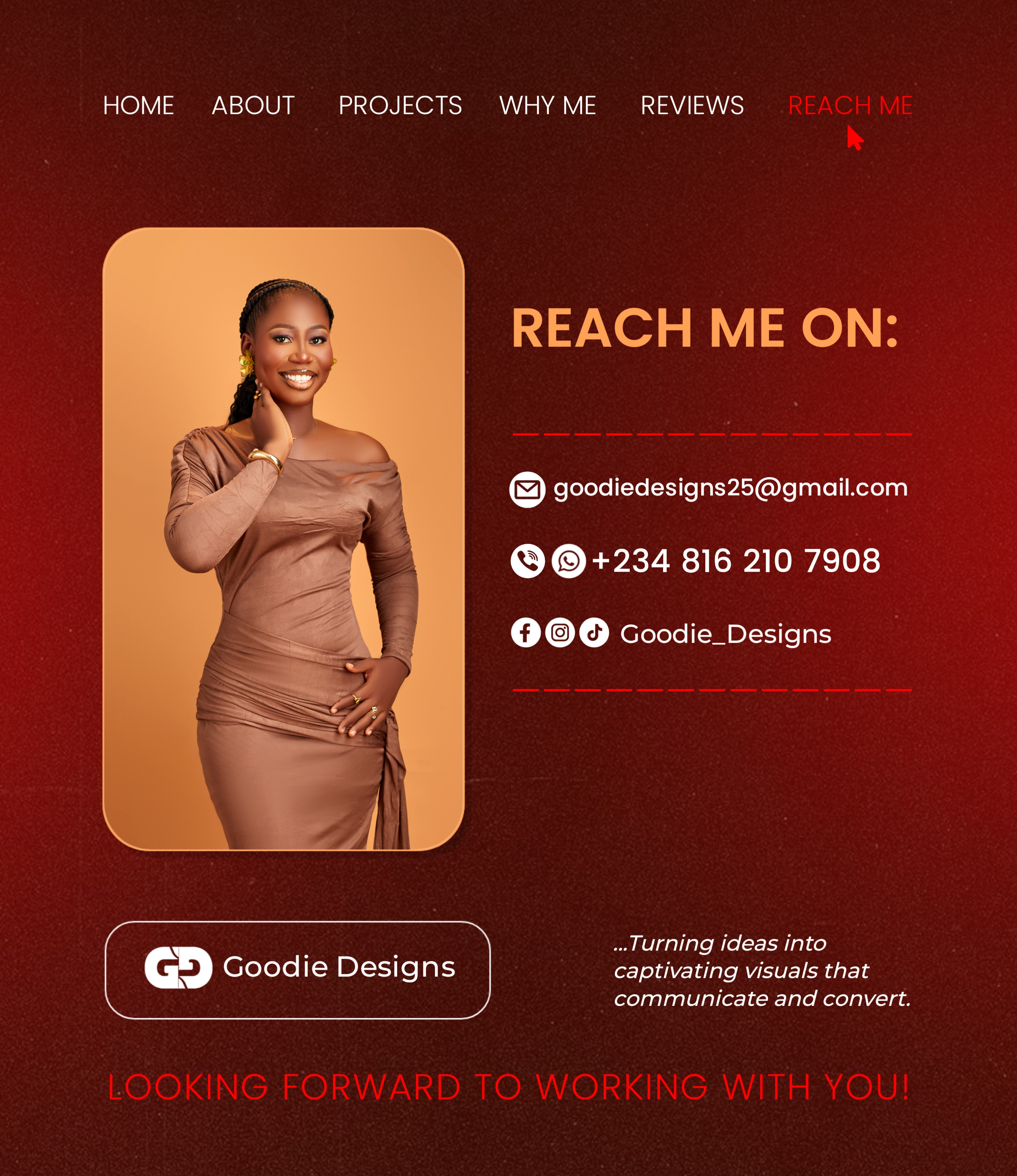 Example of Portfolio Design For Goodie Designs