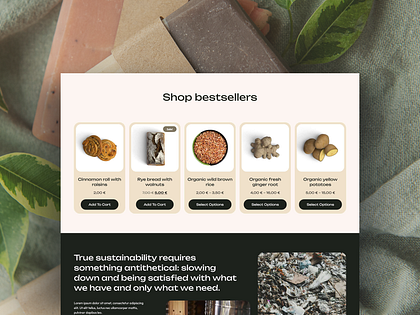 WordPress eCommerce Website Template 4 Organic Food Online Shop