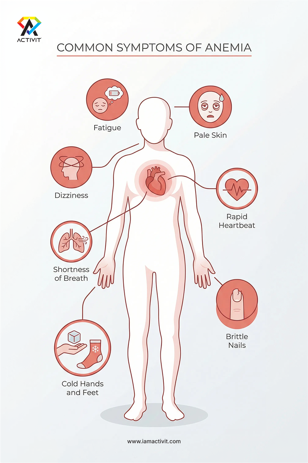 Common Symptoms of Anemia branding graphic design