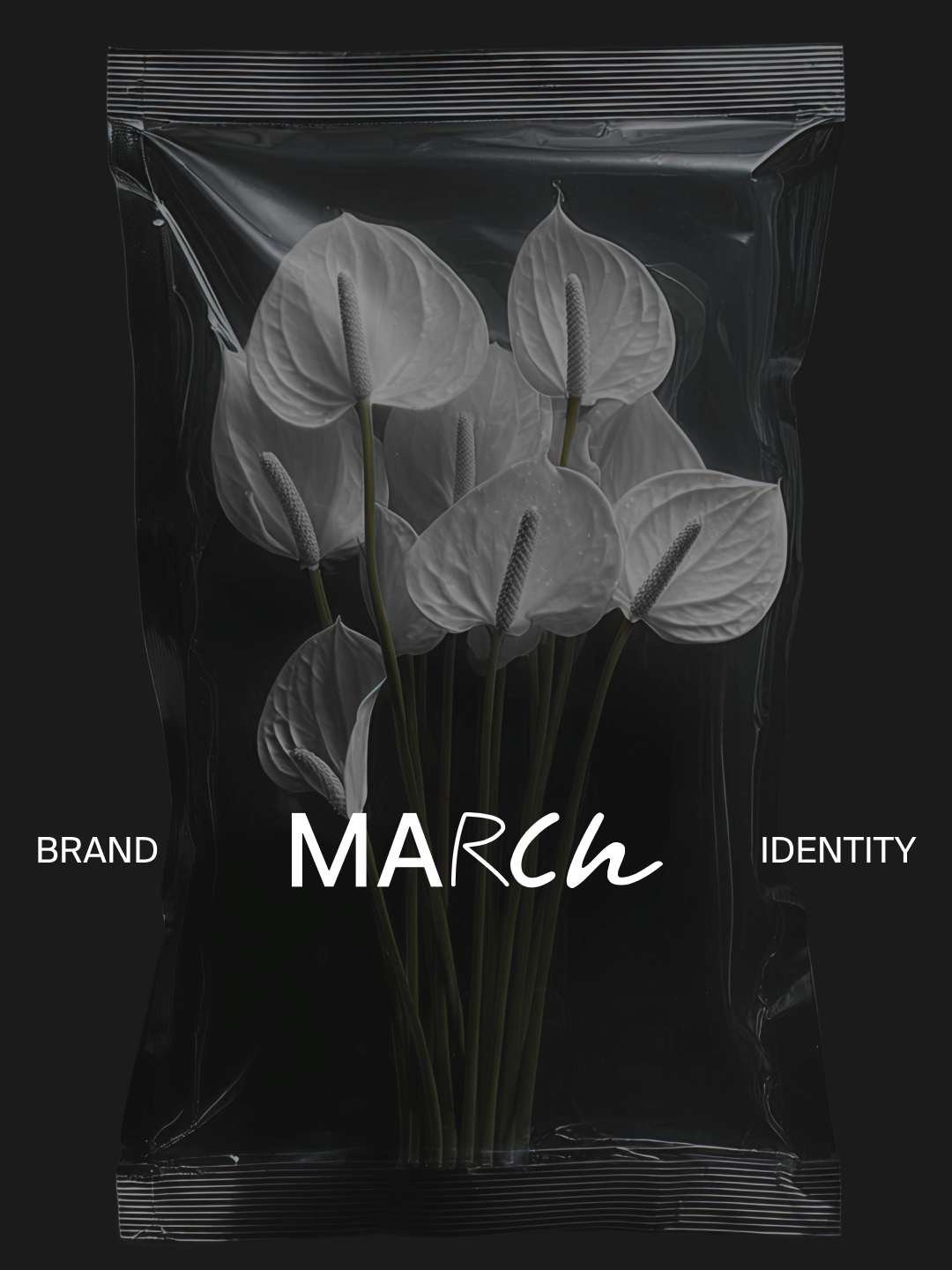 Brand Identity for MARCH brand book brand guidelines brand identity brandbook branding logo logo design logo mockups logotype
