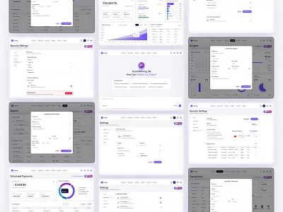 Finexa – Finance & Budget Management Dashboard UIUX Design interface product service startup ui ux web