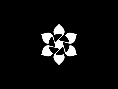 The Circle of Visual Life branding camera identity leaf logo minimal modern nature negative space organic simple stratgey visual