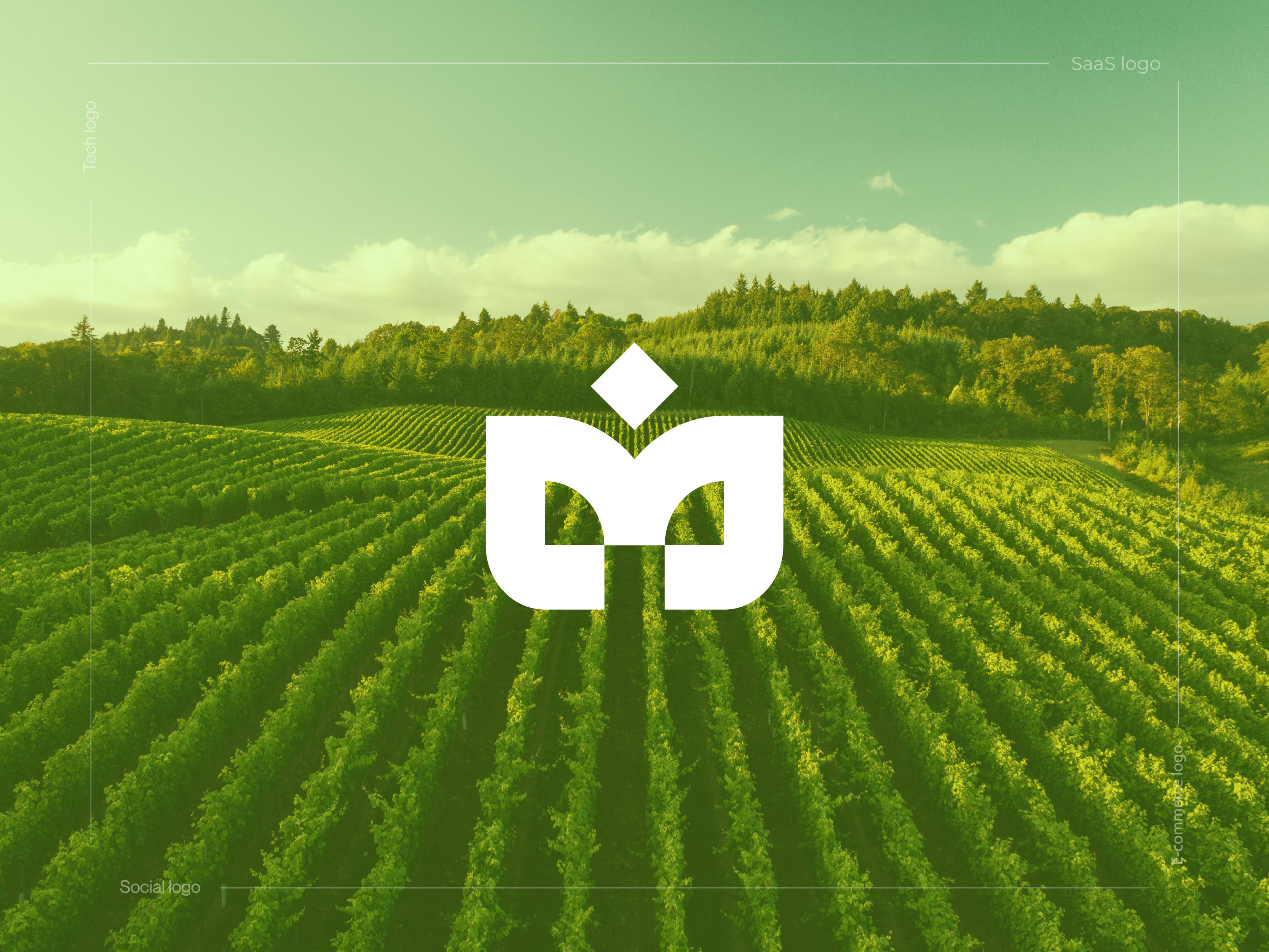 M logo design, Abstract M logo, Initial M letter logo design